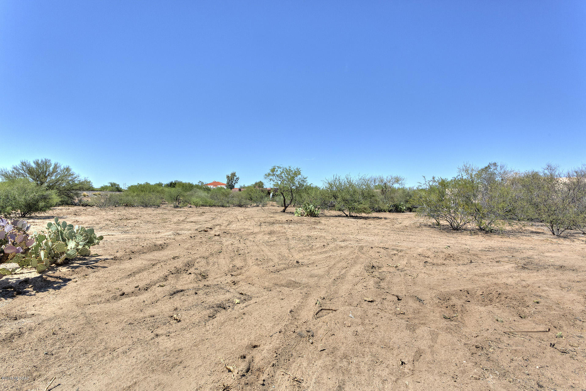 Rancho Buena Vista (30-69) - Land