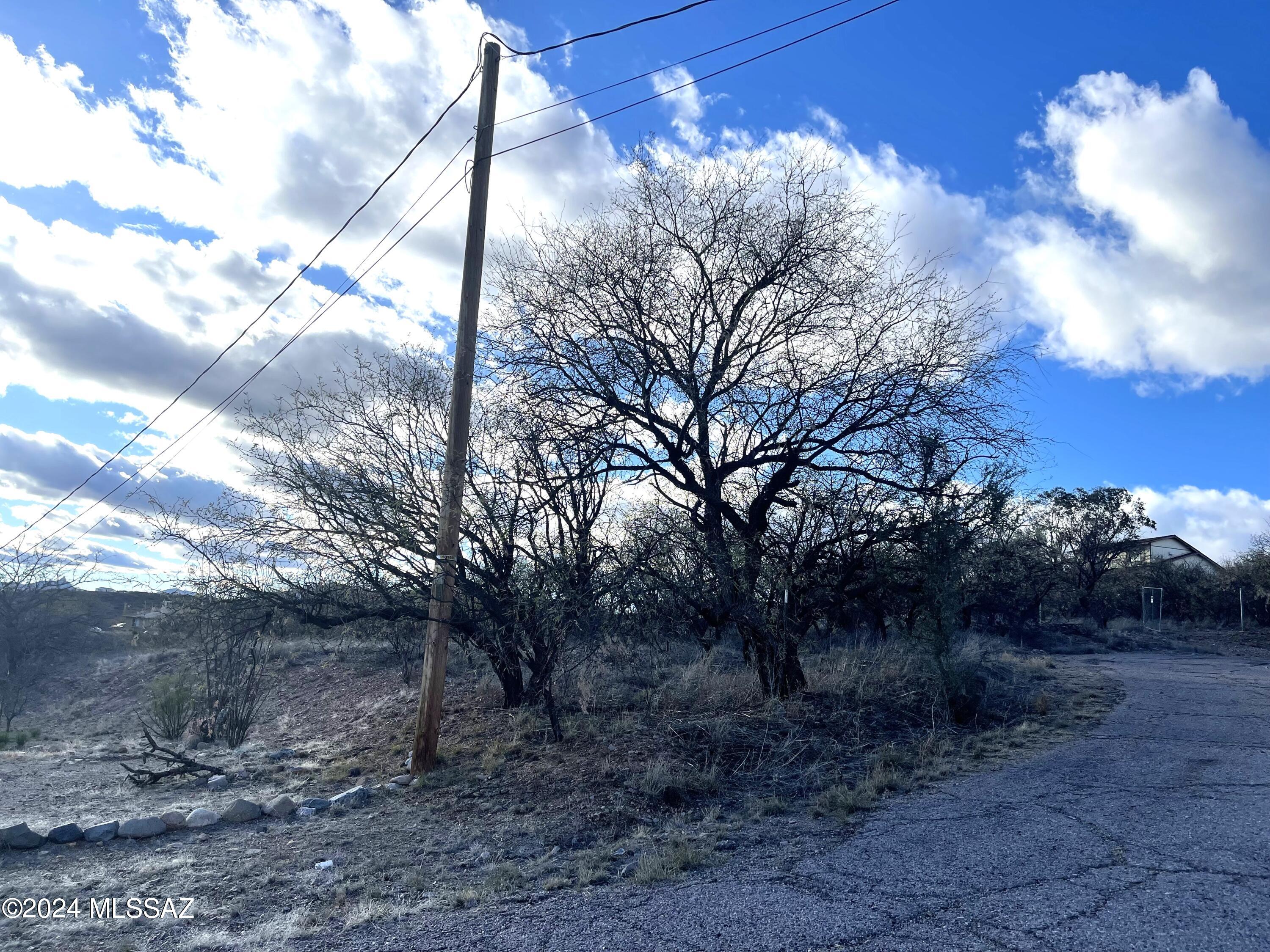 Rio Rico Estates 7 - Land