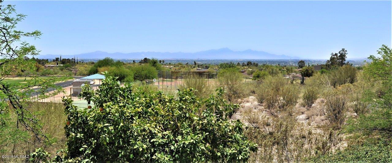 Sierra Catalina Estates (1-99) - Residential