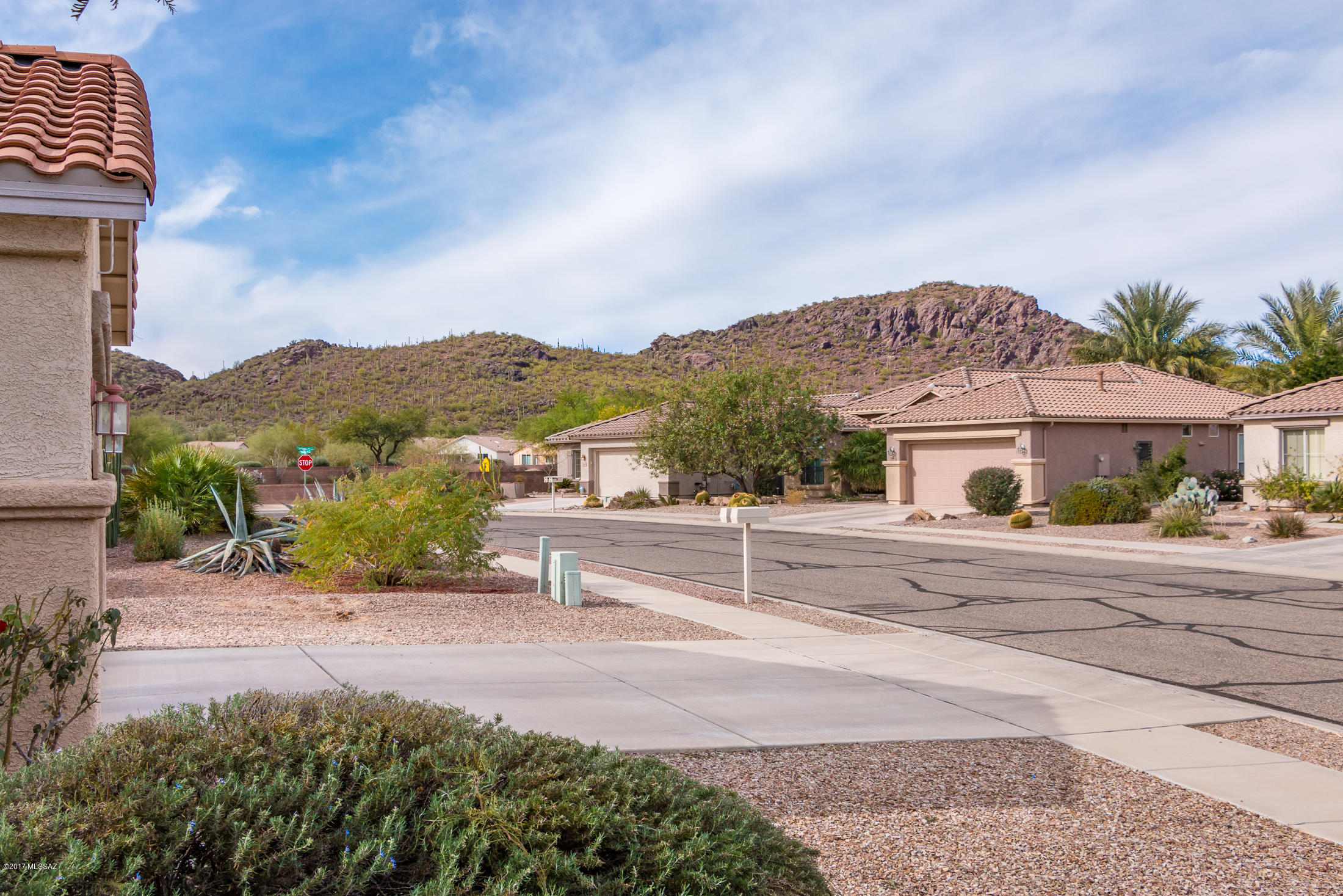 Continental Ranch Sunflower - Residential