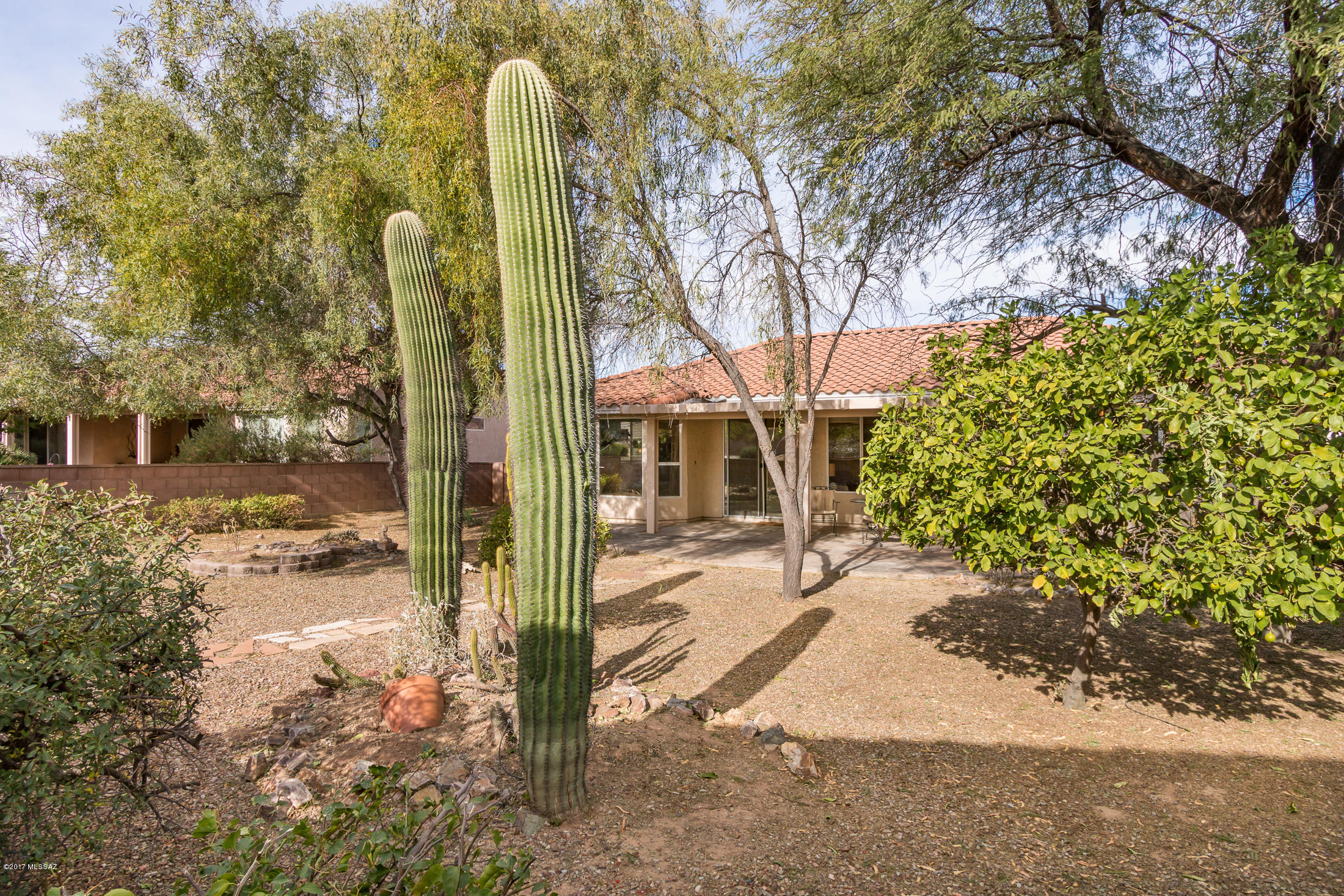 Continental Ranch Sunflower - Residential