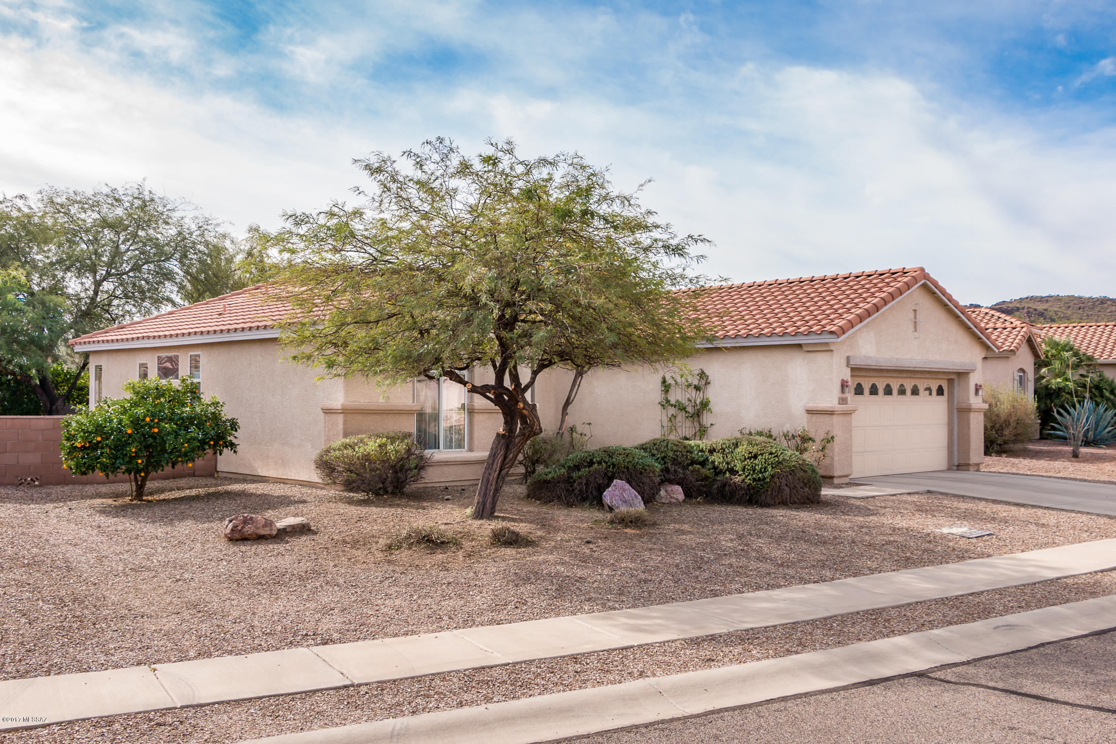 Continental Ranch Sunflower - Residential