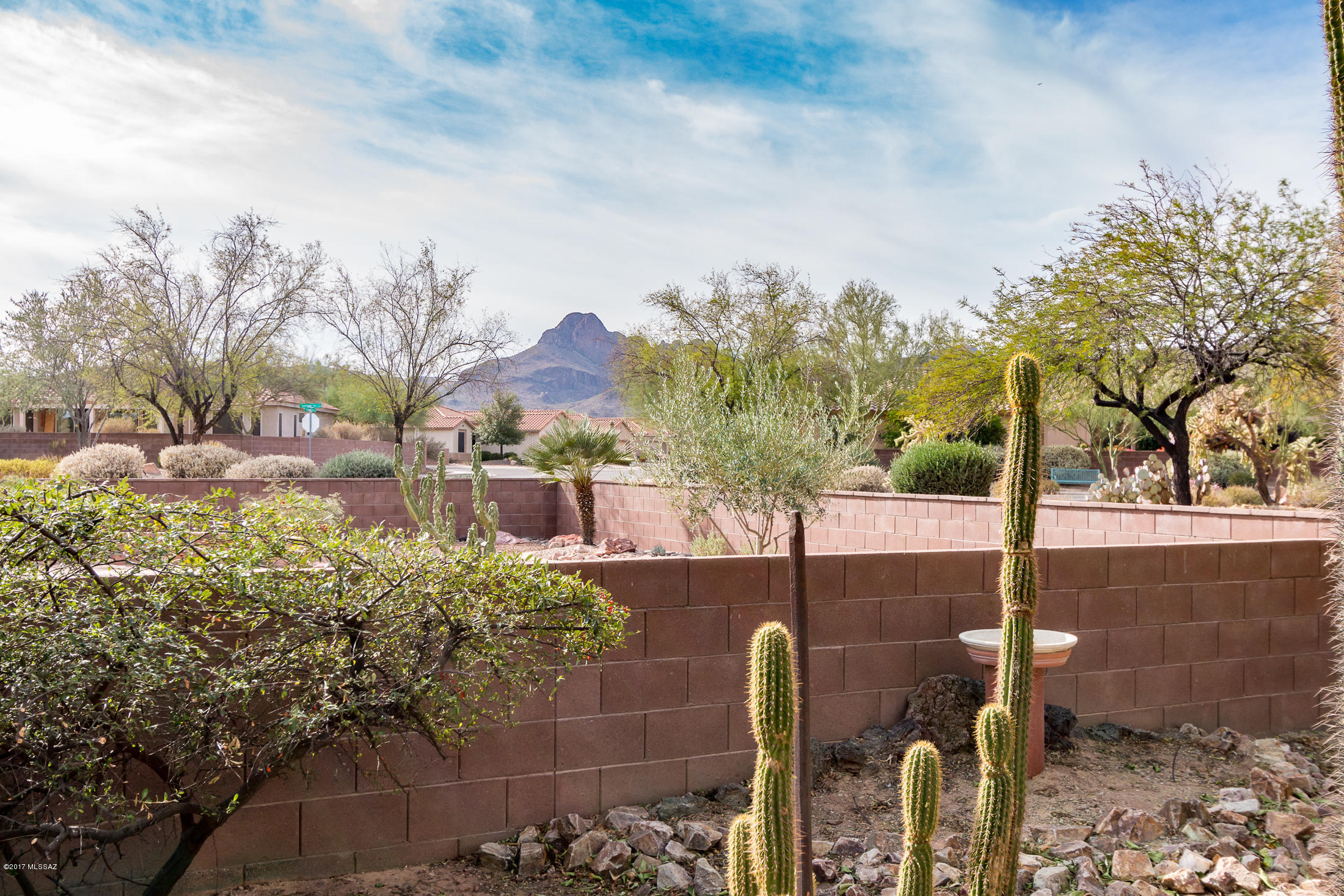 Continental Ranch Sunflower - Residential