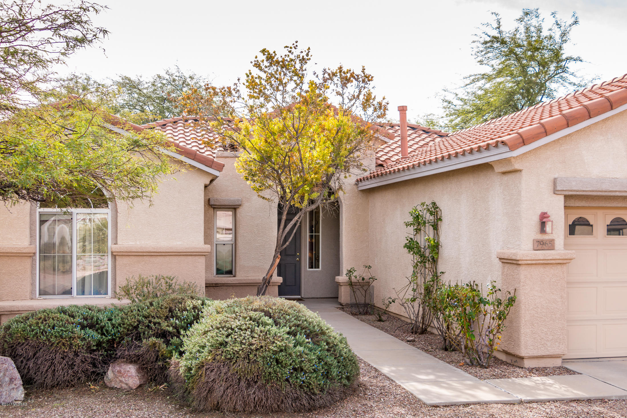 Continental Ranch Sunflower - Residential