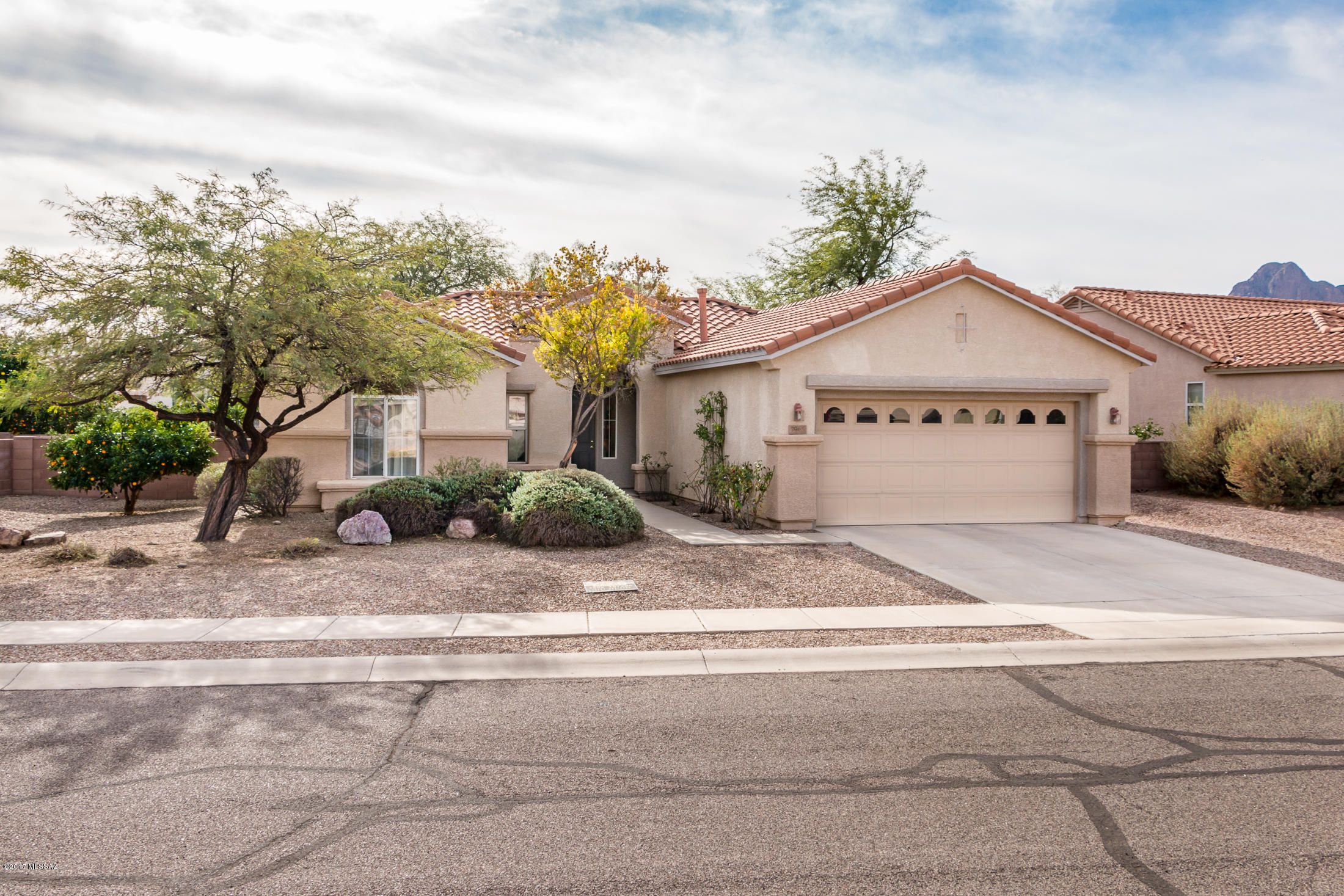 Continental Ranch Sunflower - Residential