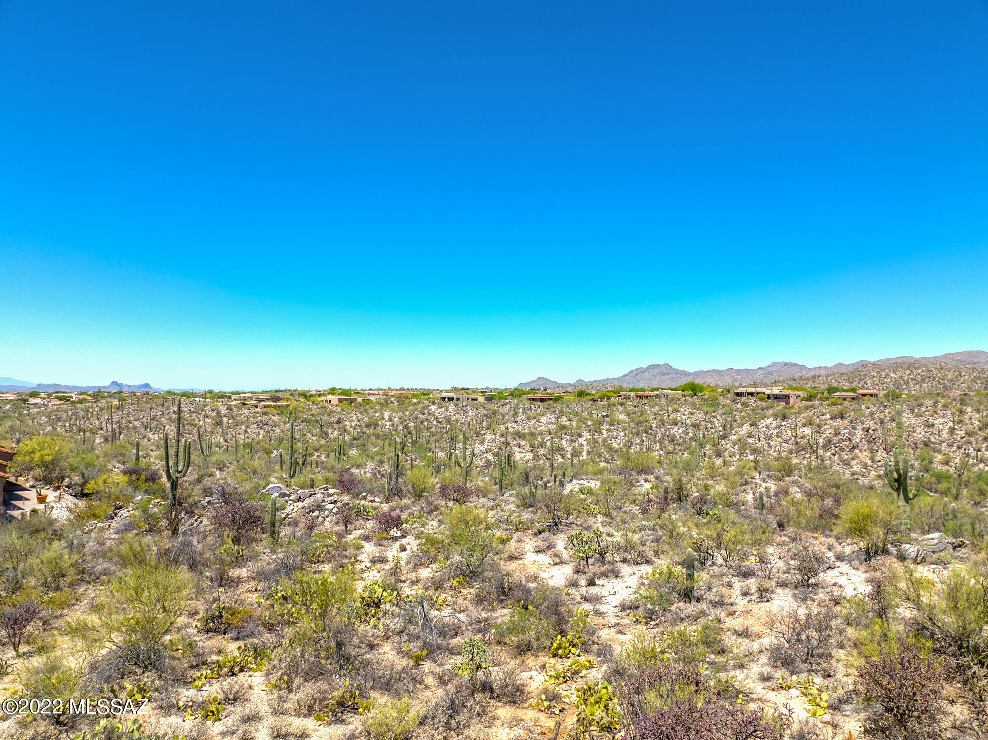 Honey Bee Ridge(The Estates At) - Land