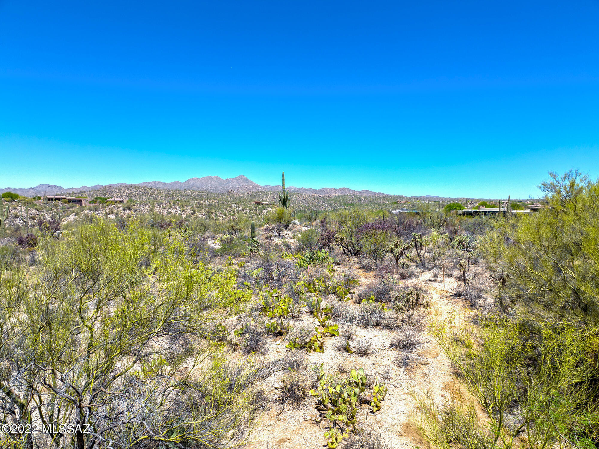 Honey Bee Ridge(The Estates At) - Land