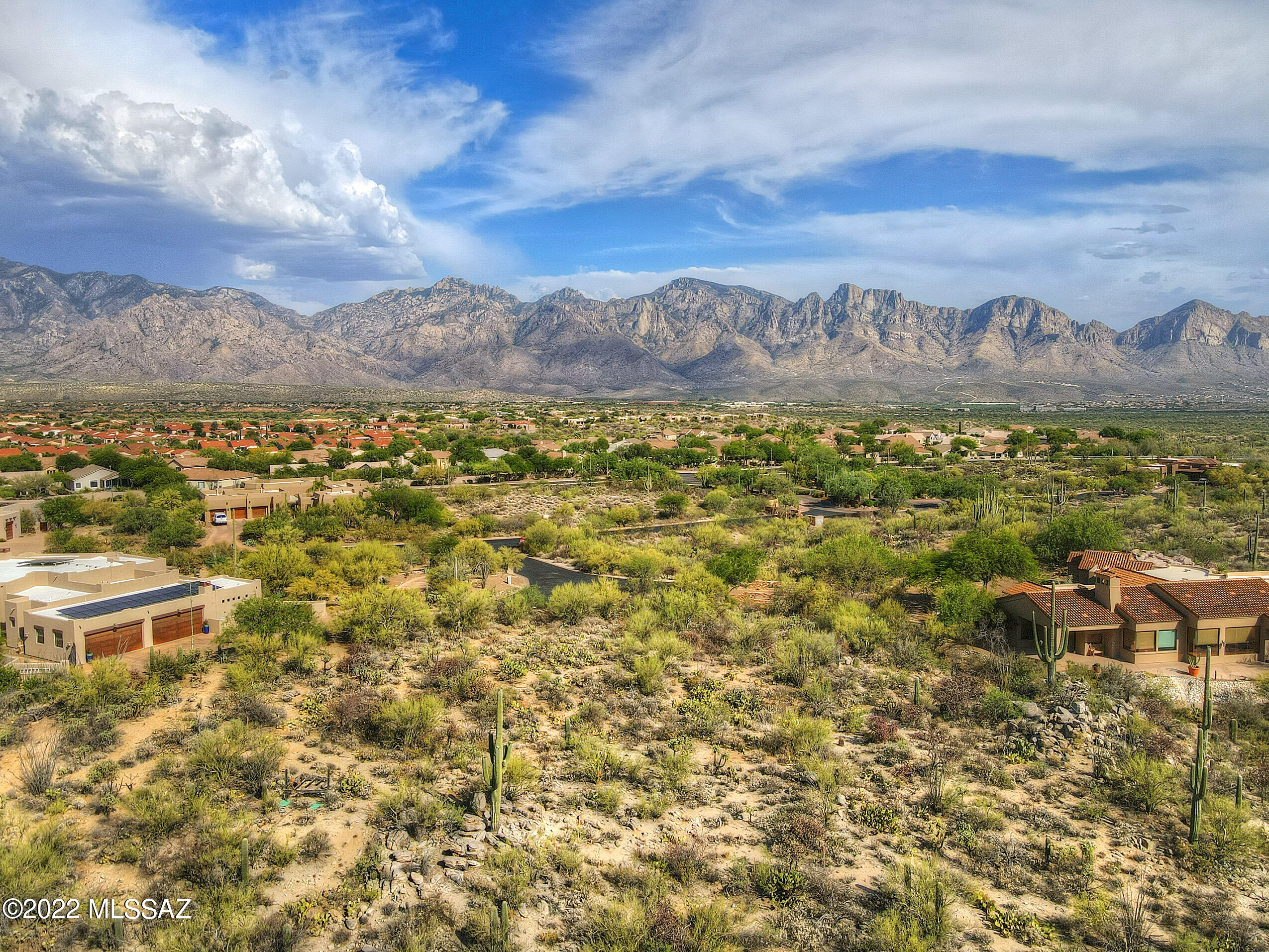 Honey Bee Ridge(The Estates At) - Land