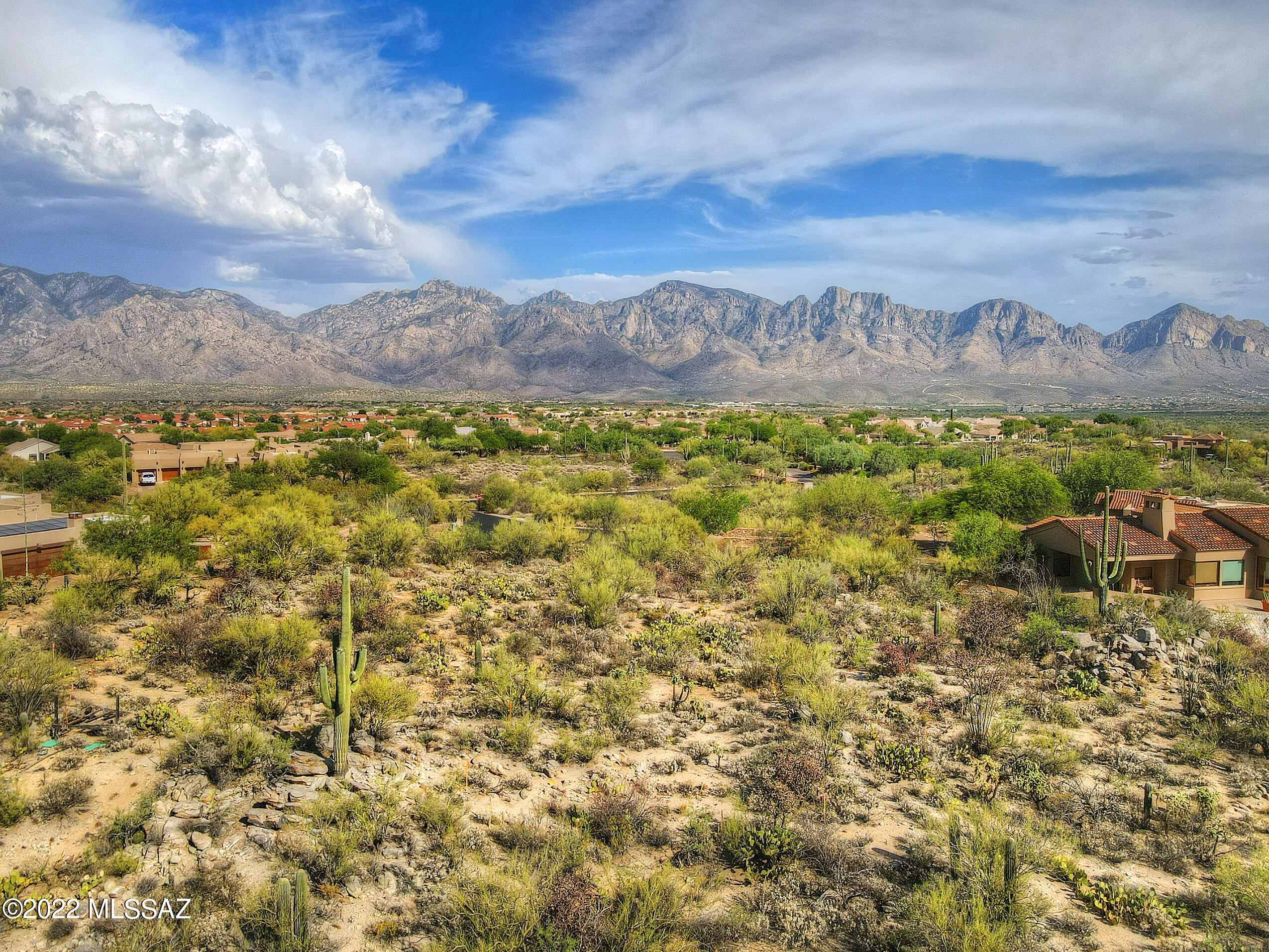 Honey Bee Ridge(The Estates At) - Land