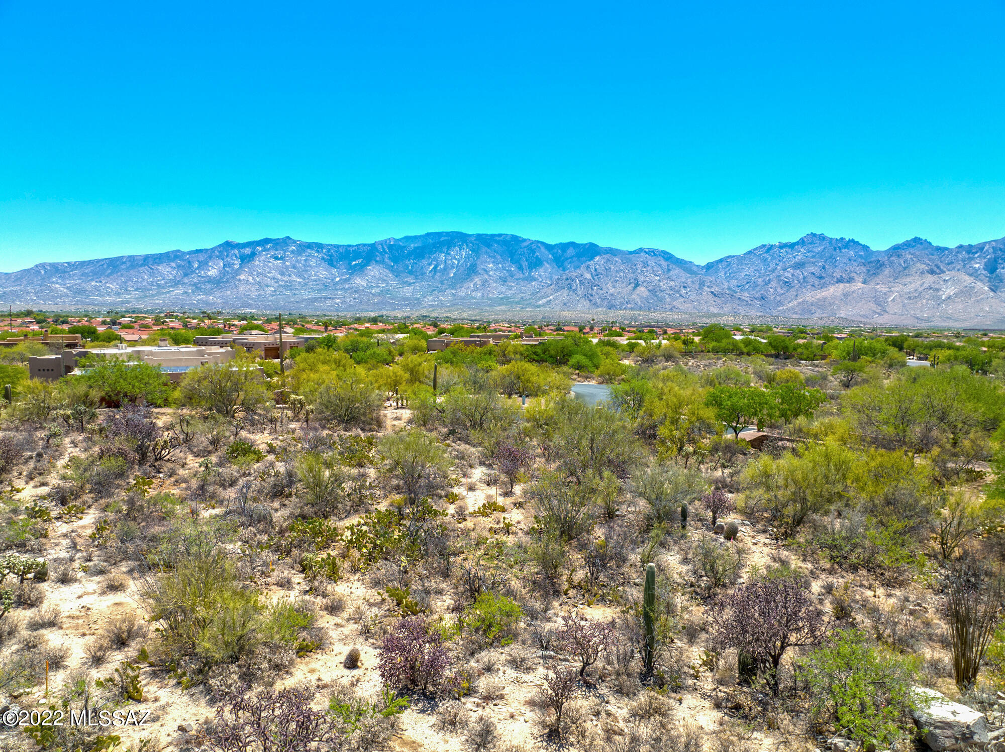 Honey Bee Ridge(The Estates At) - Land