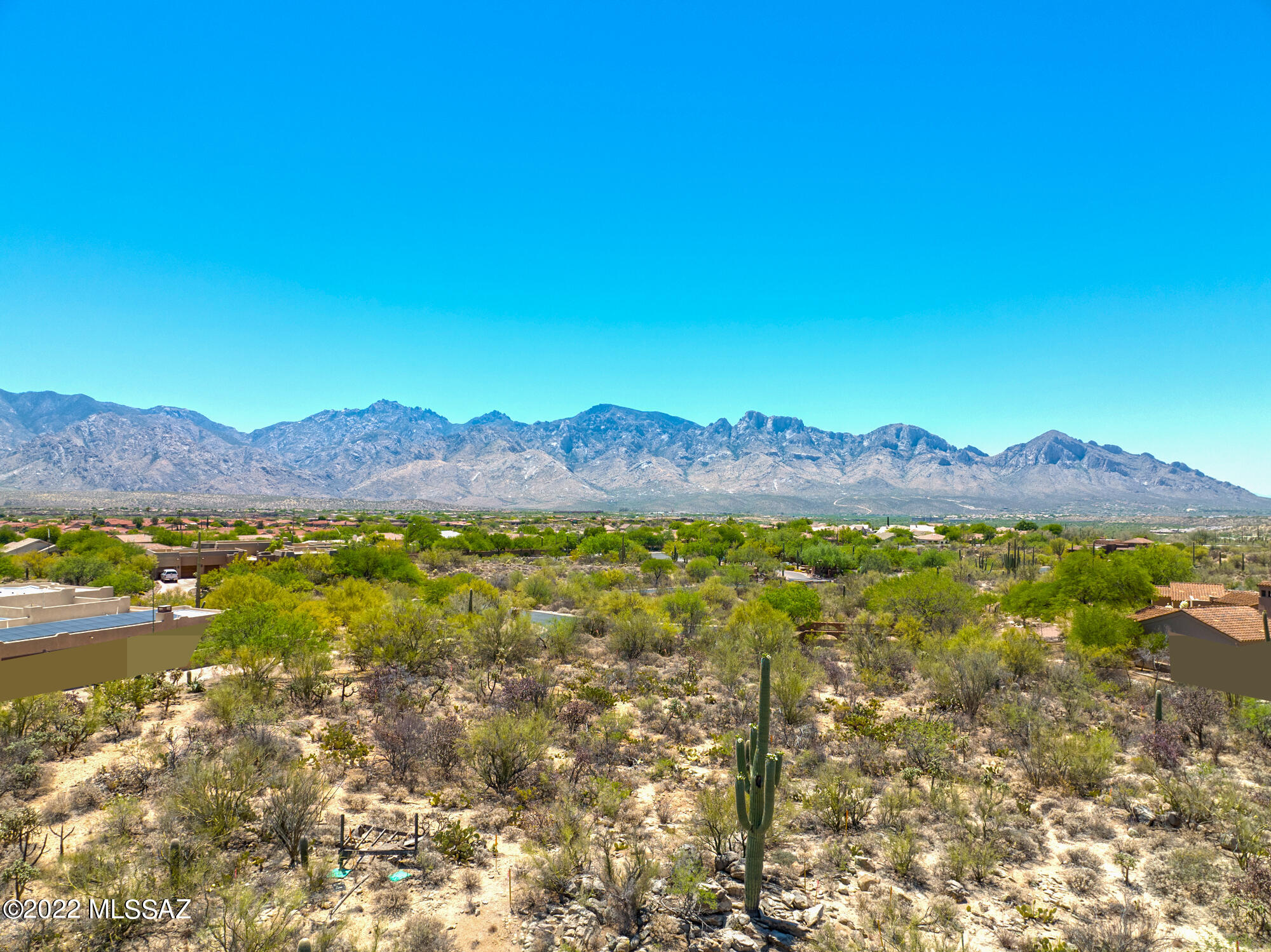 Honey Bee Ridge(The Estates At) - Land