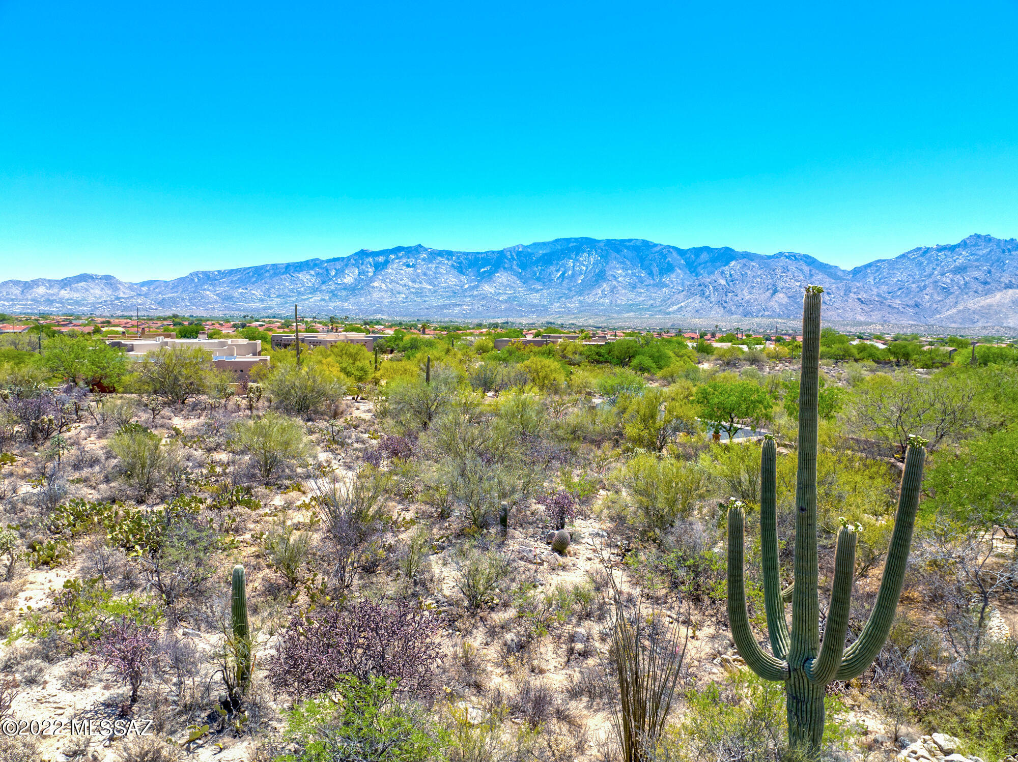 Honey Bee Ridge(The Estates At) - Land