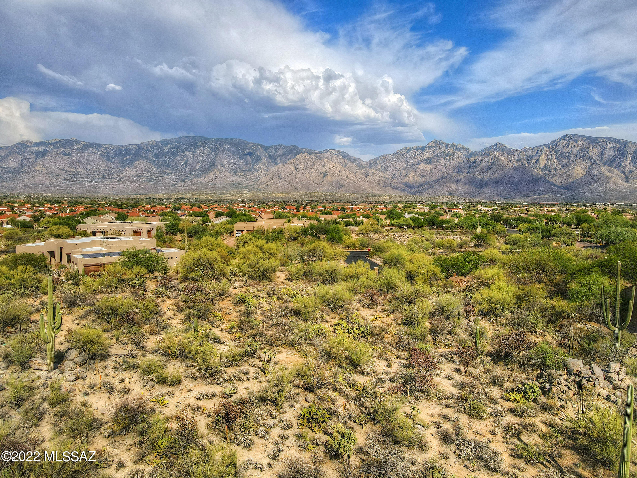 Honey Bee Ridge(The Estates At) - Land