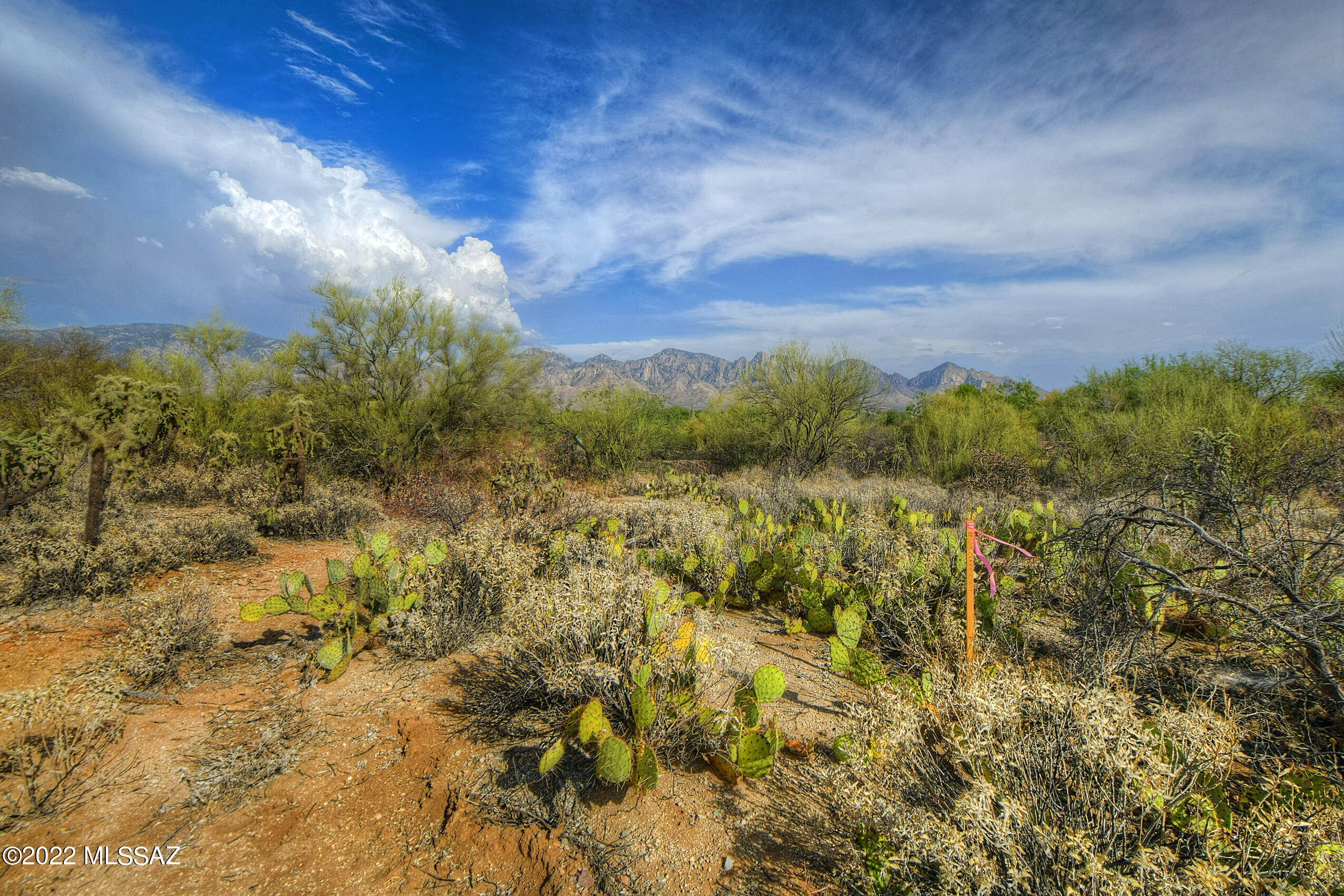 Honey Bee Ridge(The Estates At) - Land
