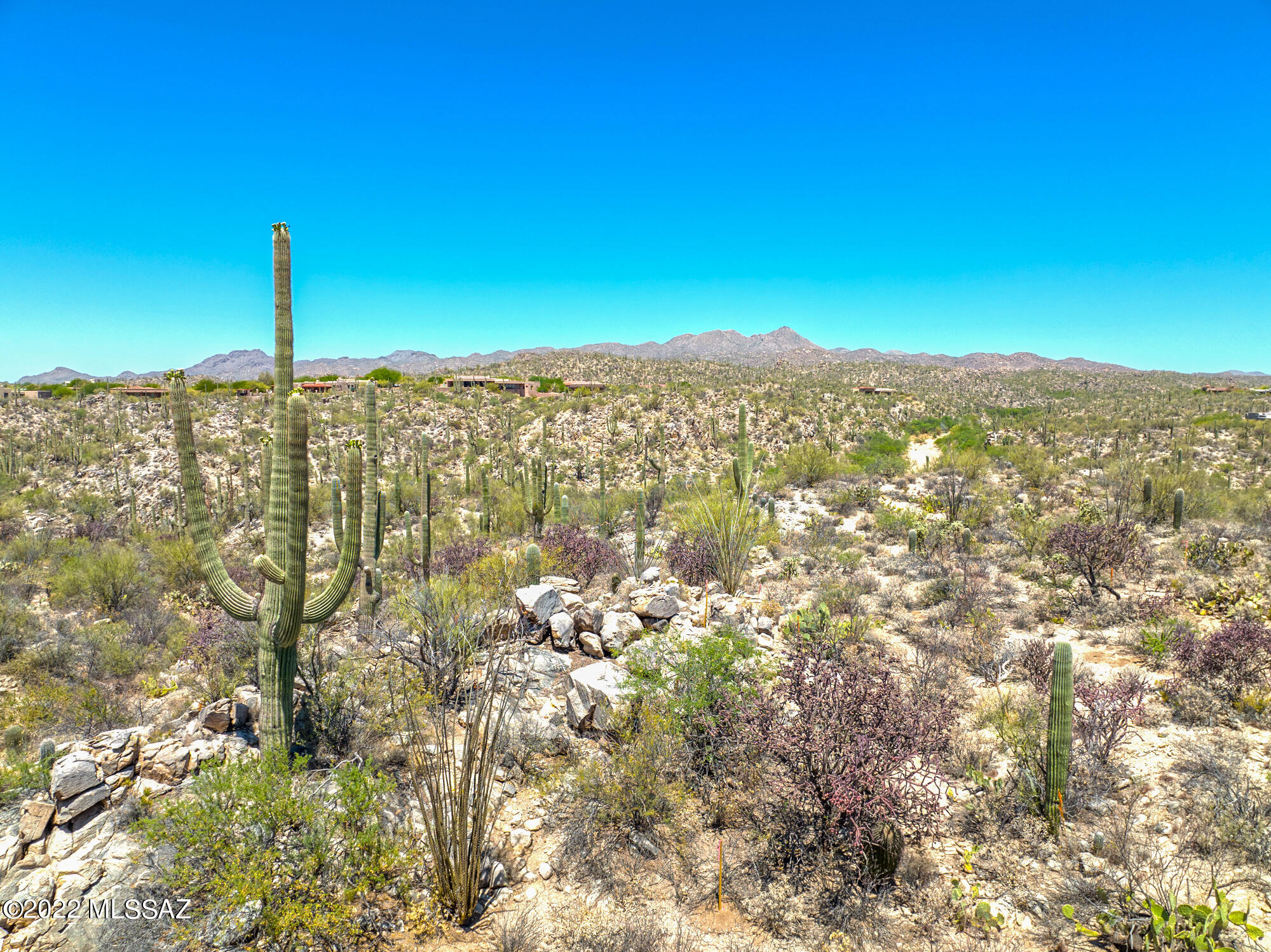 Honey Bee Ridge(The Estates At) - Land