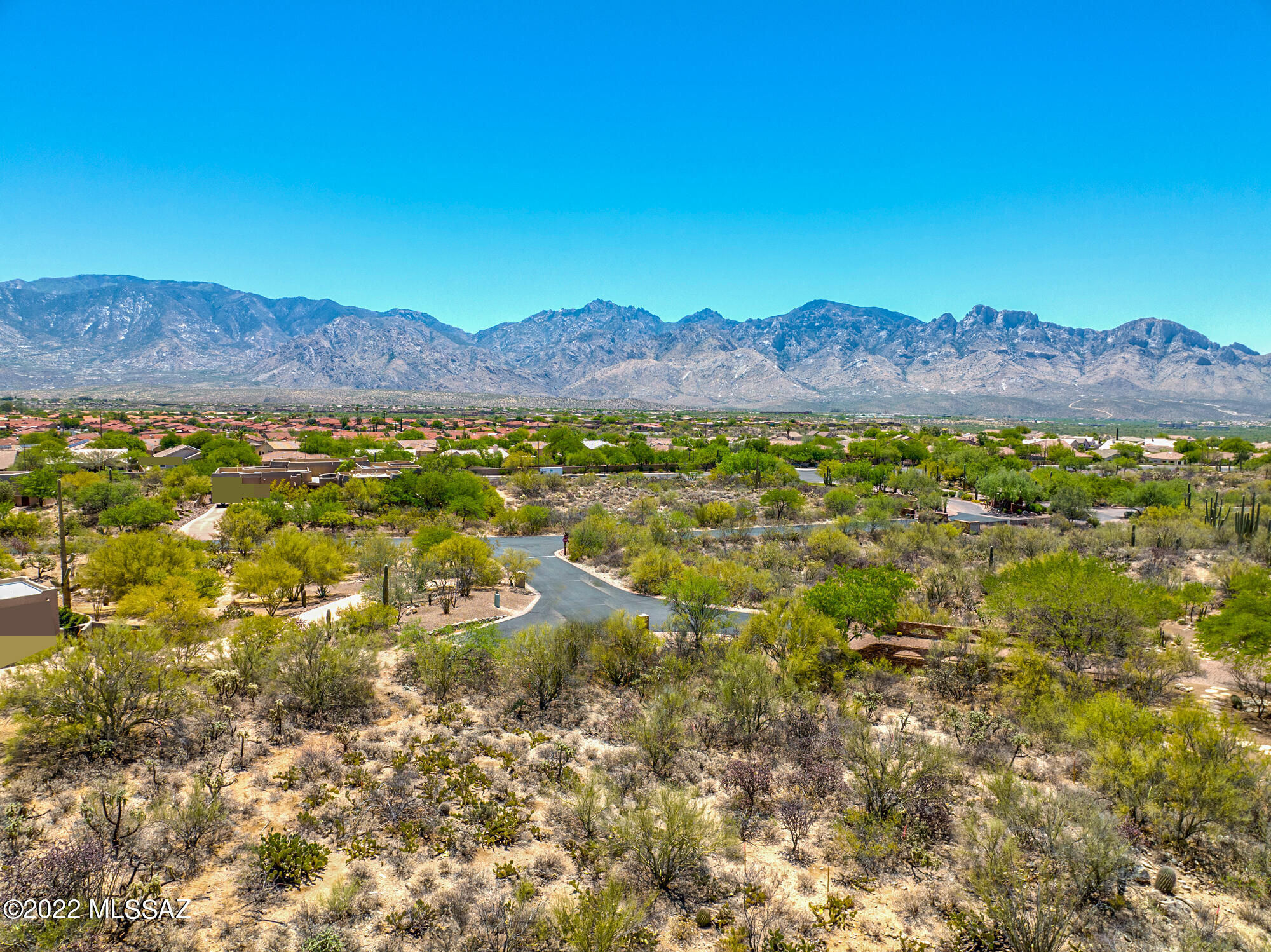 Honey Bee Ridge(The Estates At) - Land