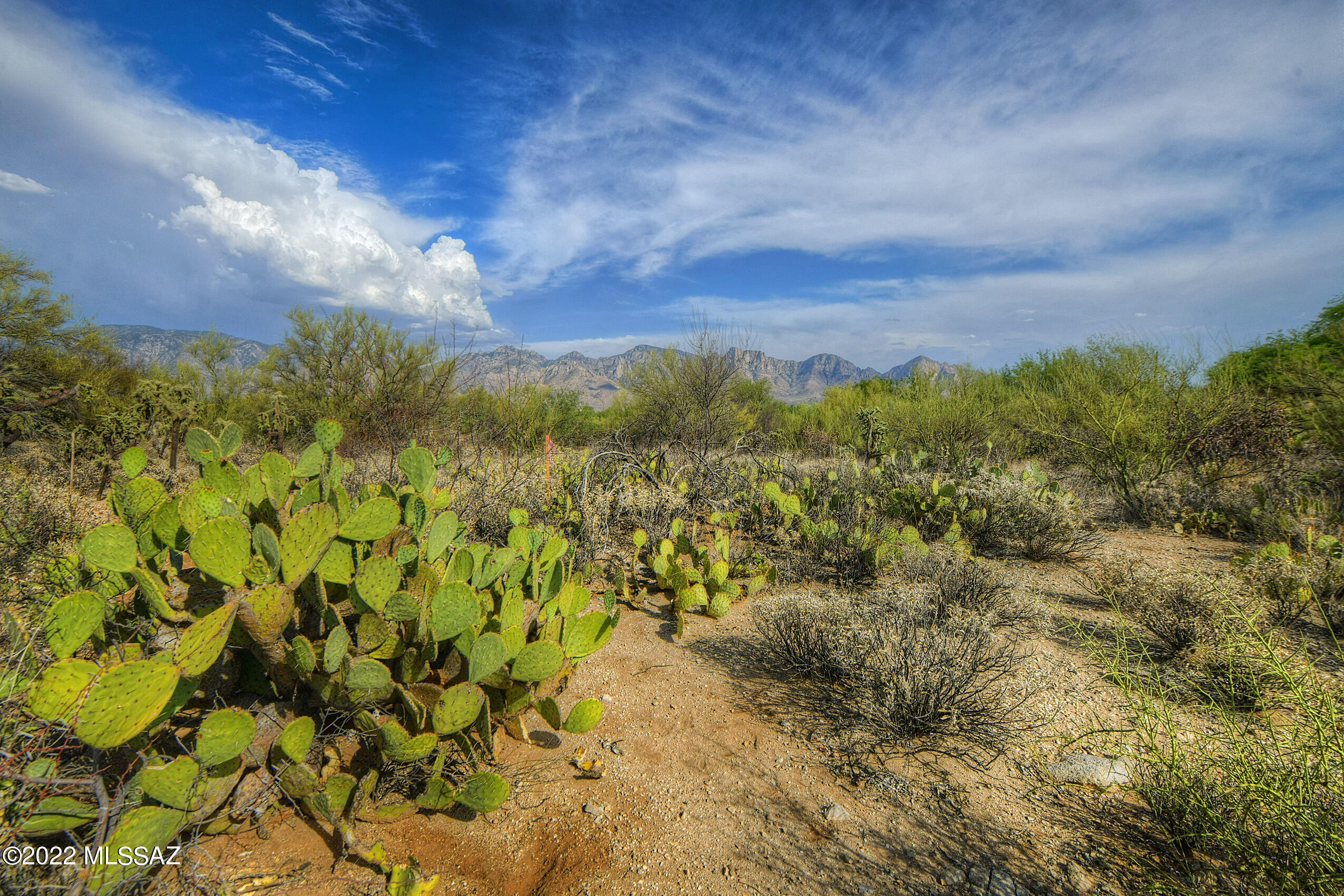 Honey Bee Ridge(The Estates At) - Land