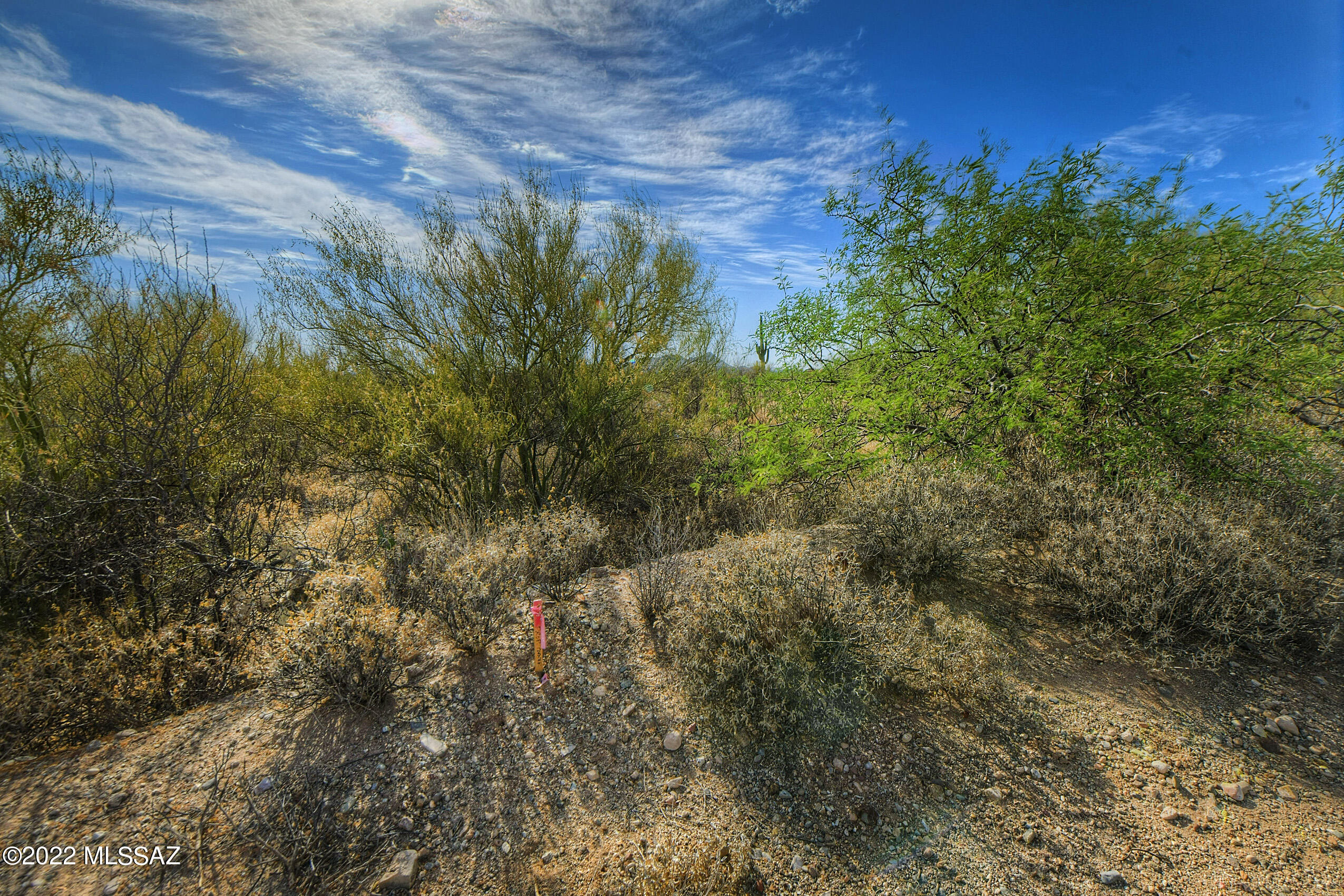 Honey Bee Ridge(The Estates At) - Land