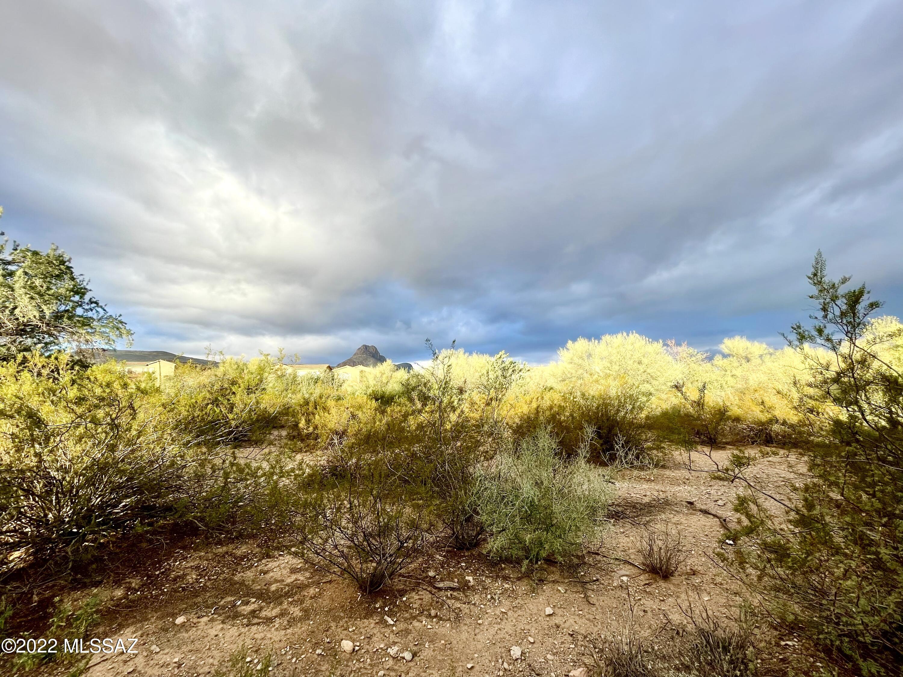 Amber Crest (1-123) - Residential Lease