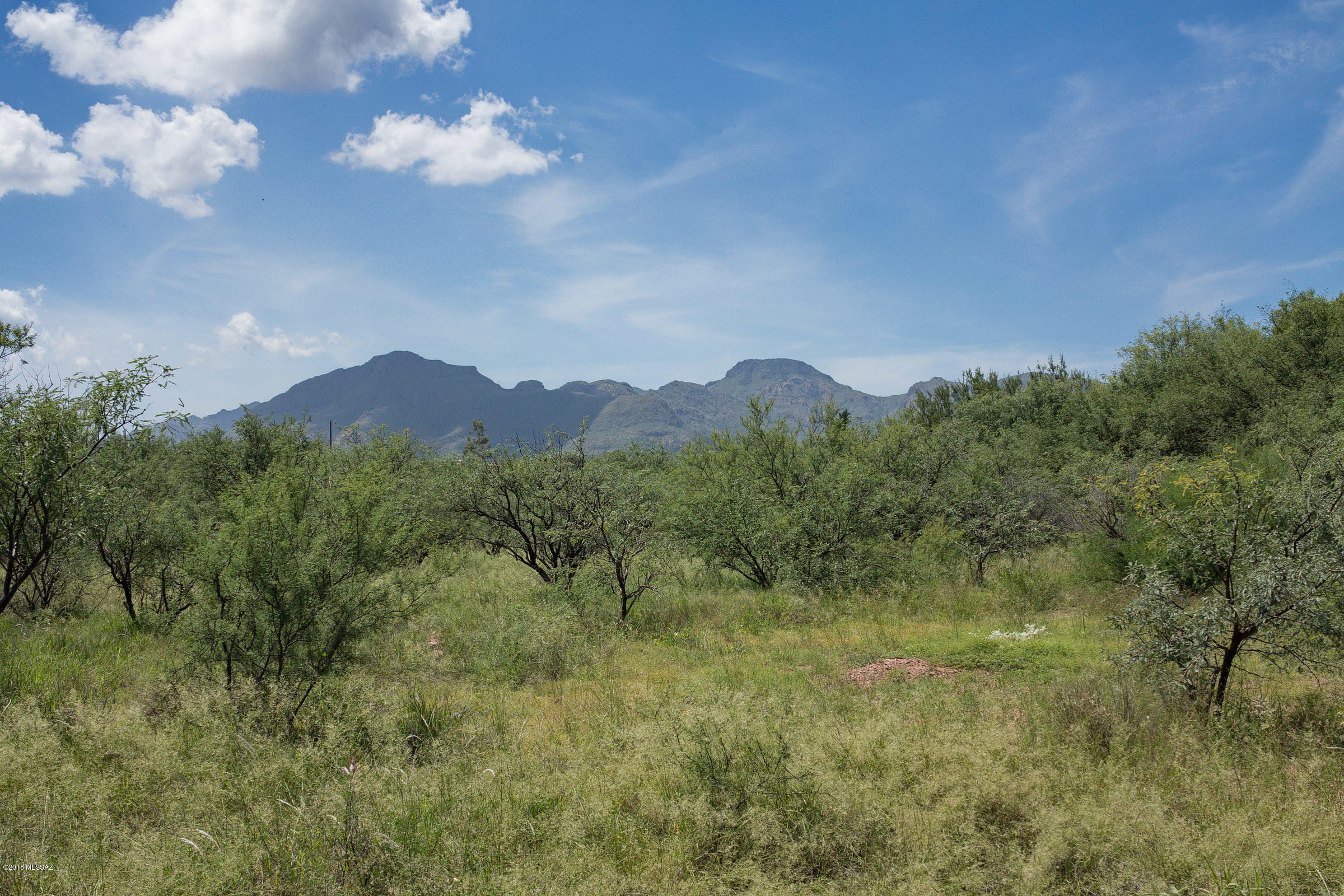 Great corner lot in Palo Parado Estates! Flat and ready to build your dream home! Please call today for more information and to schedule your showing!