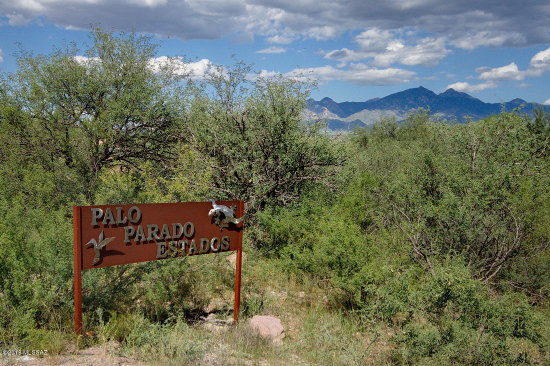 Palo Parado Estates - Land