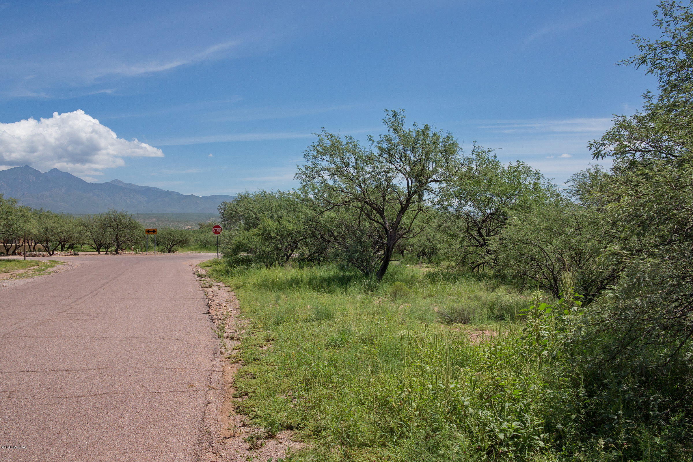 Palo Parado Estates - Land