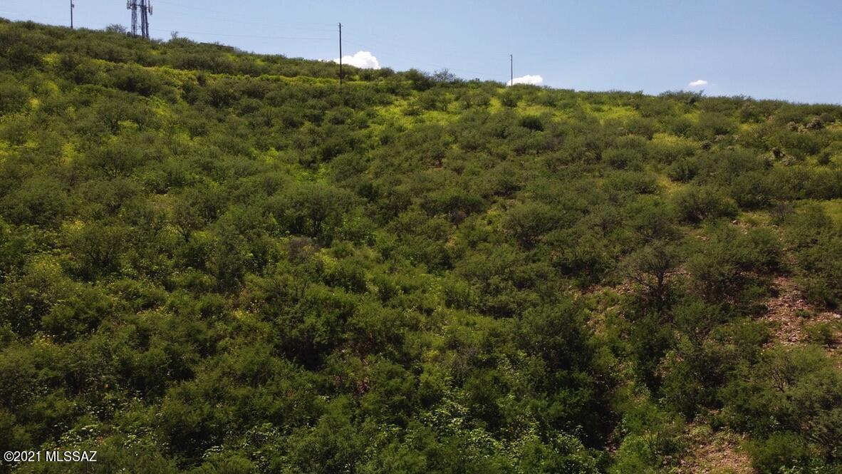Rio Rico Estates - Land