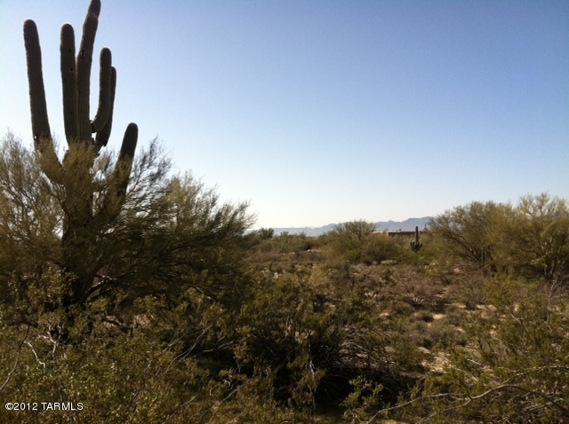 MUCHO PRIVATE!! A hidden gem at end of cul-de-sac with arroyo flanking site to the west offering a FOREVER VIEW CORRIDOR. Catalina and Tucson mountain views but this lot's statement is it's PEACE AND QUIET and easy building site. For the price, can't be beat! Buy one lot, buy two, buy ALL!  Utilities include sewer.