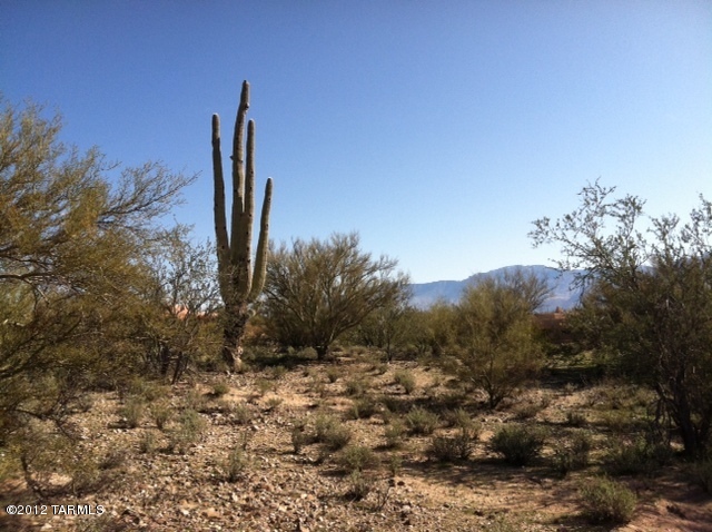 Chaparral Heights (1-73) - Land