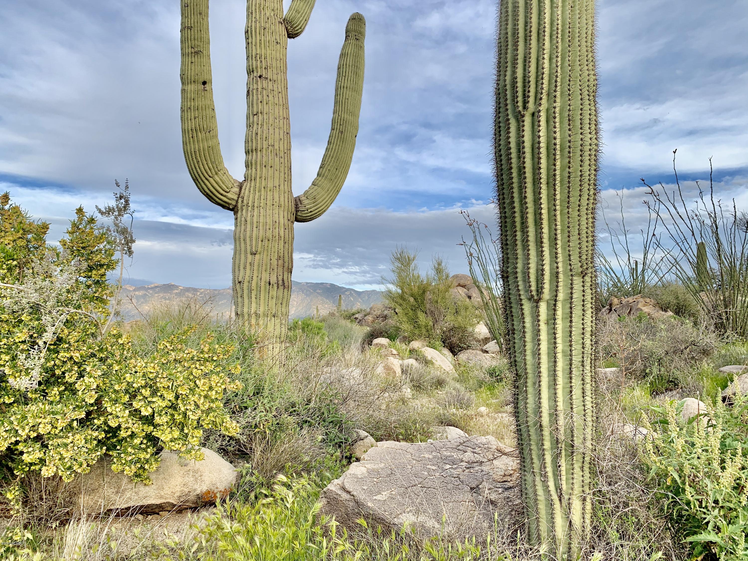 Stone Canyon IV - Land