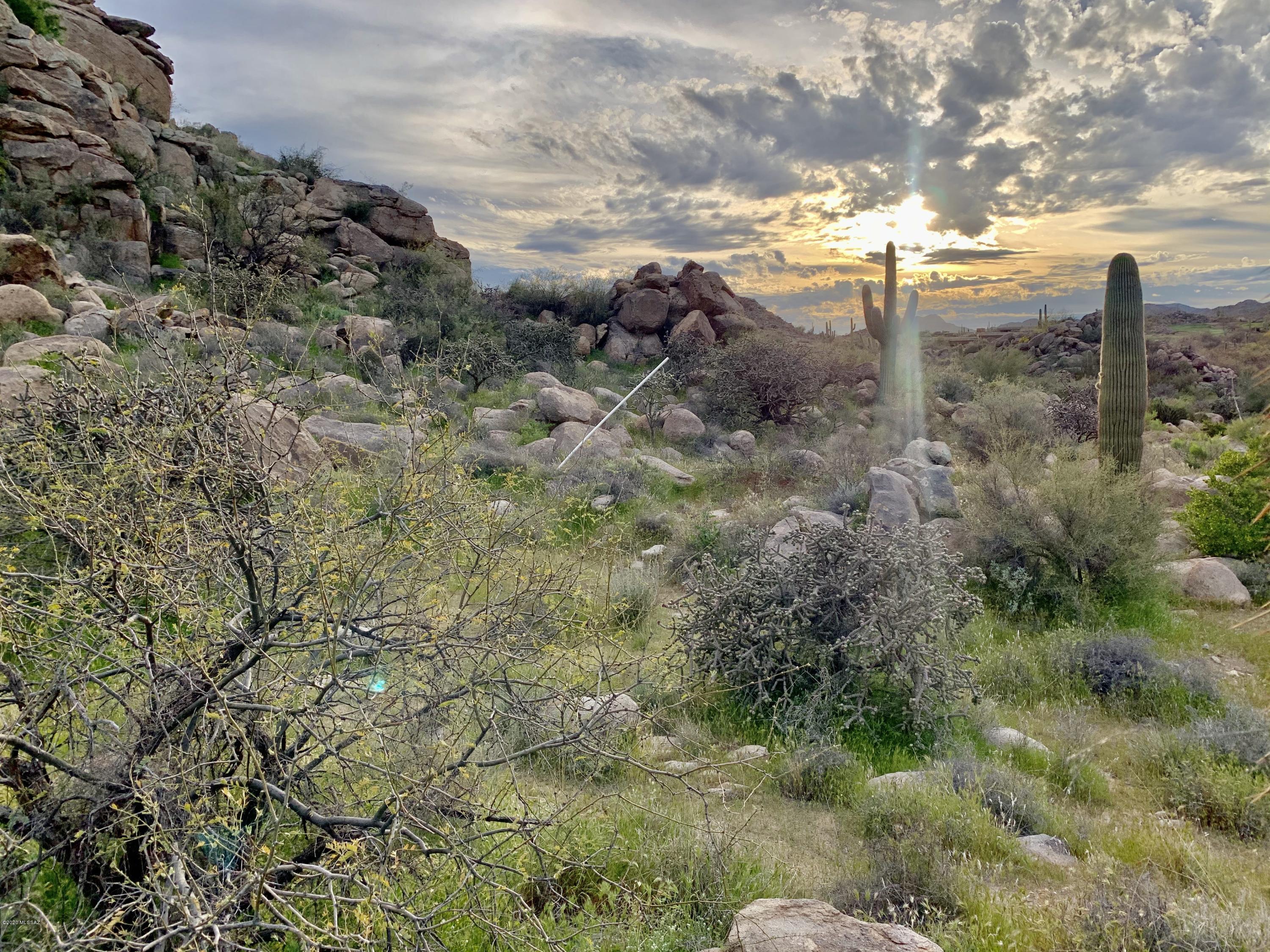 Stone Canyon IV - Land
