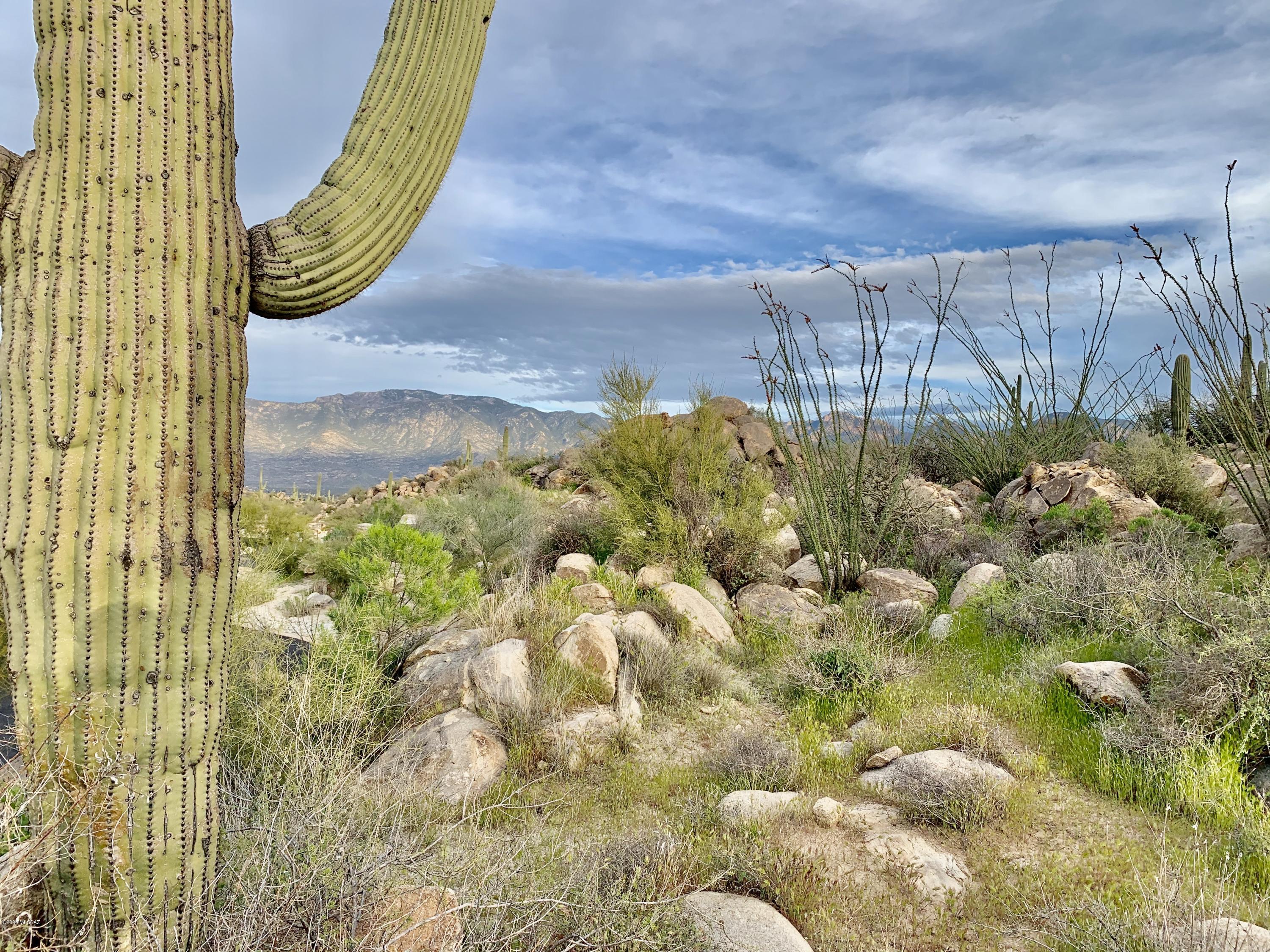Stone Canyon IV - Land
