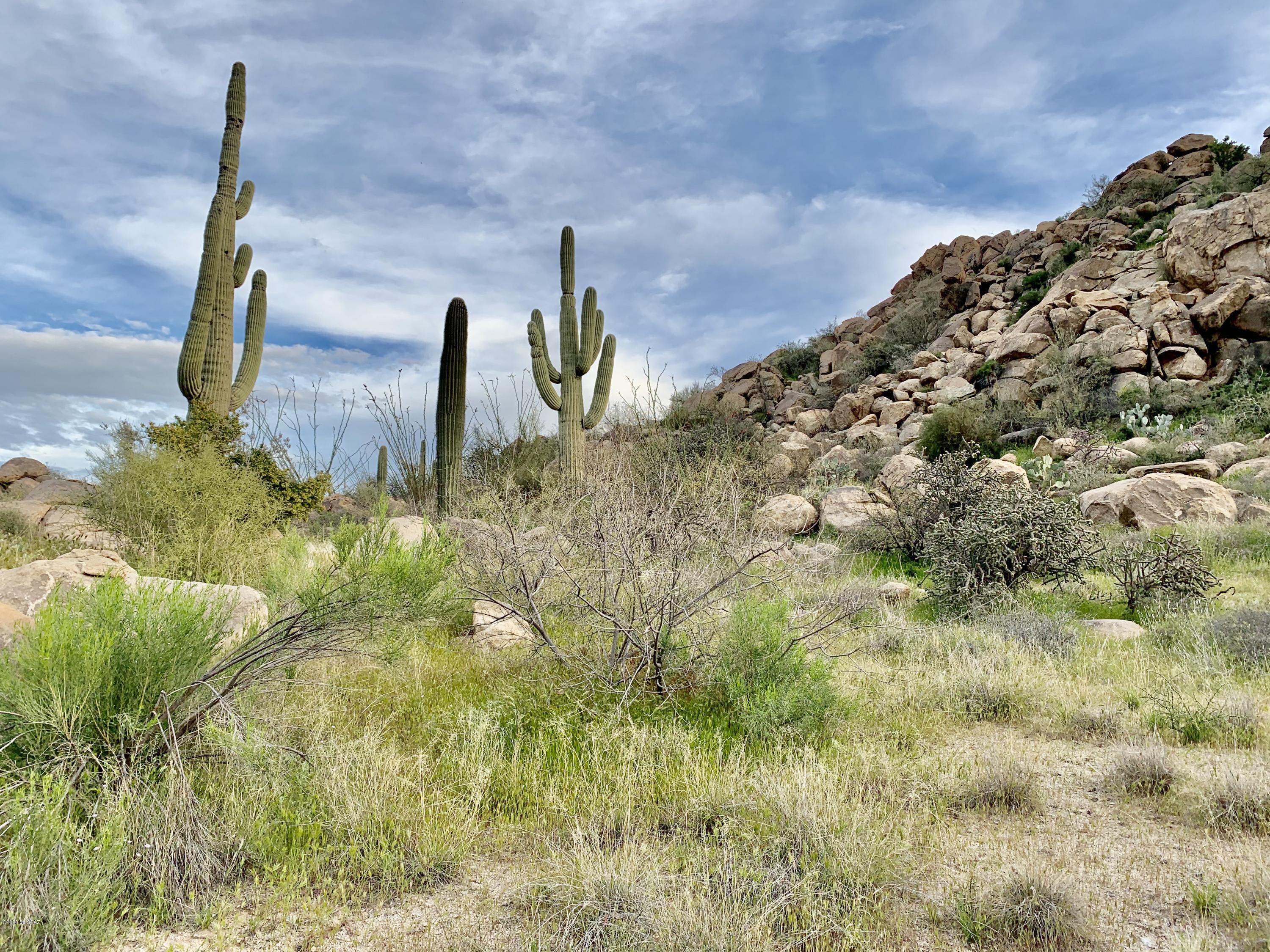 Stone Canyon IV - Land