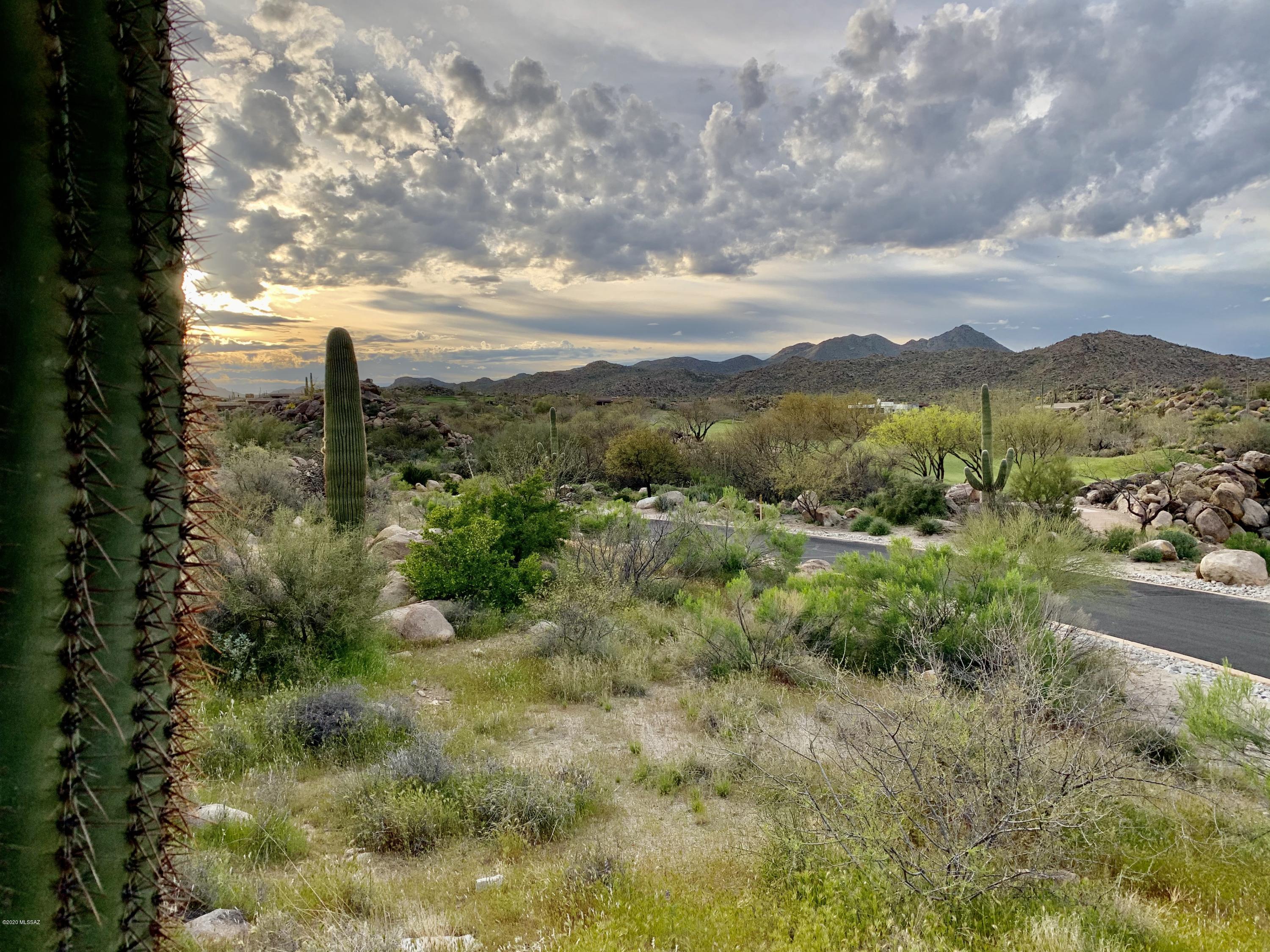 Stone Canyon IV - Land