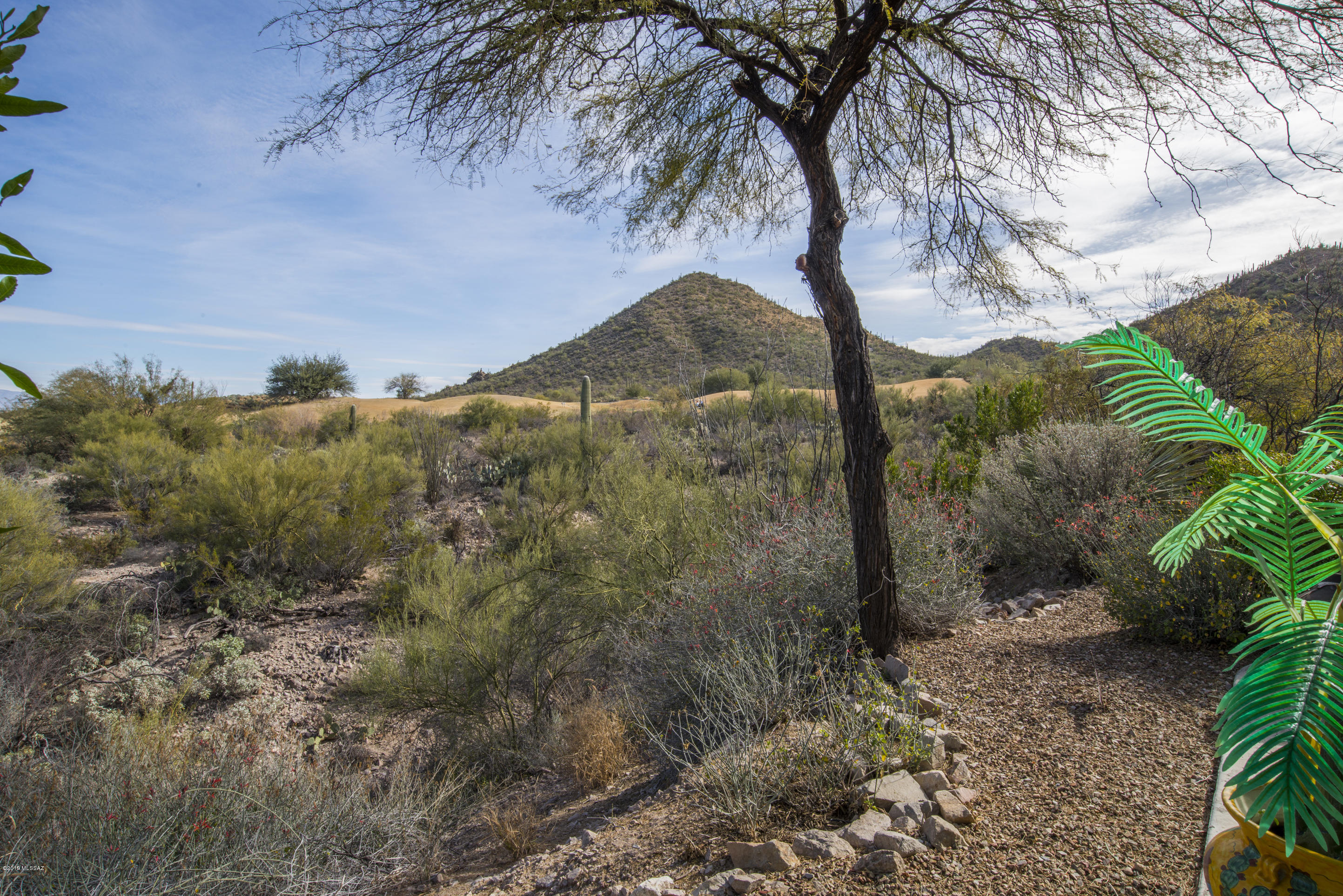 Starr Pass Golf Casitas II - Residential