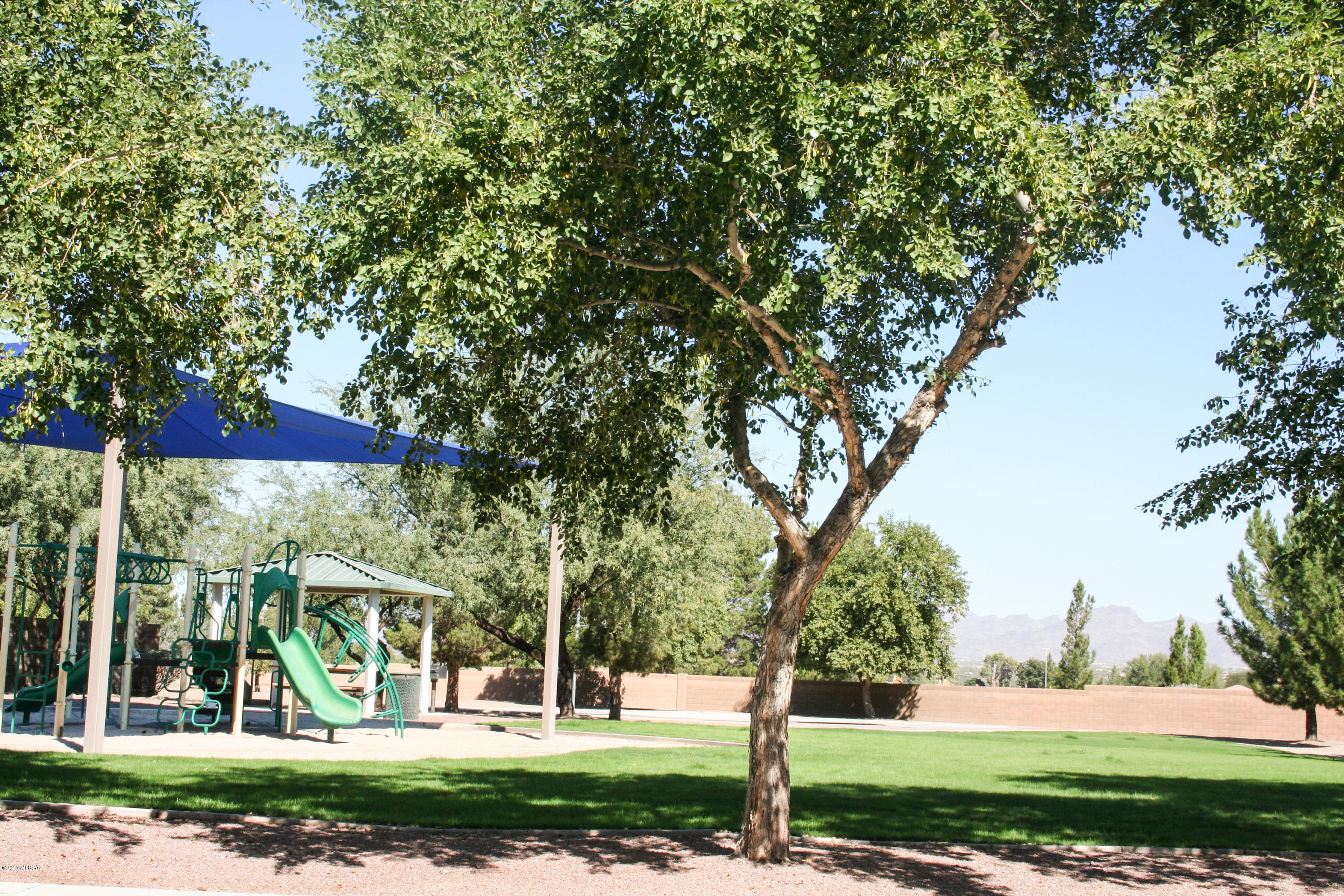 Pines Phase I - Residential