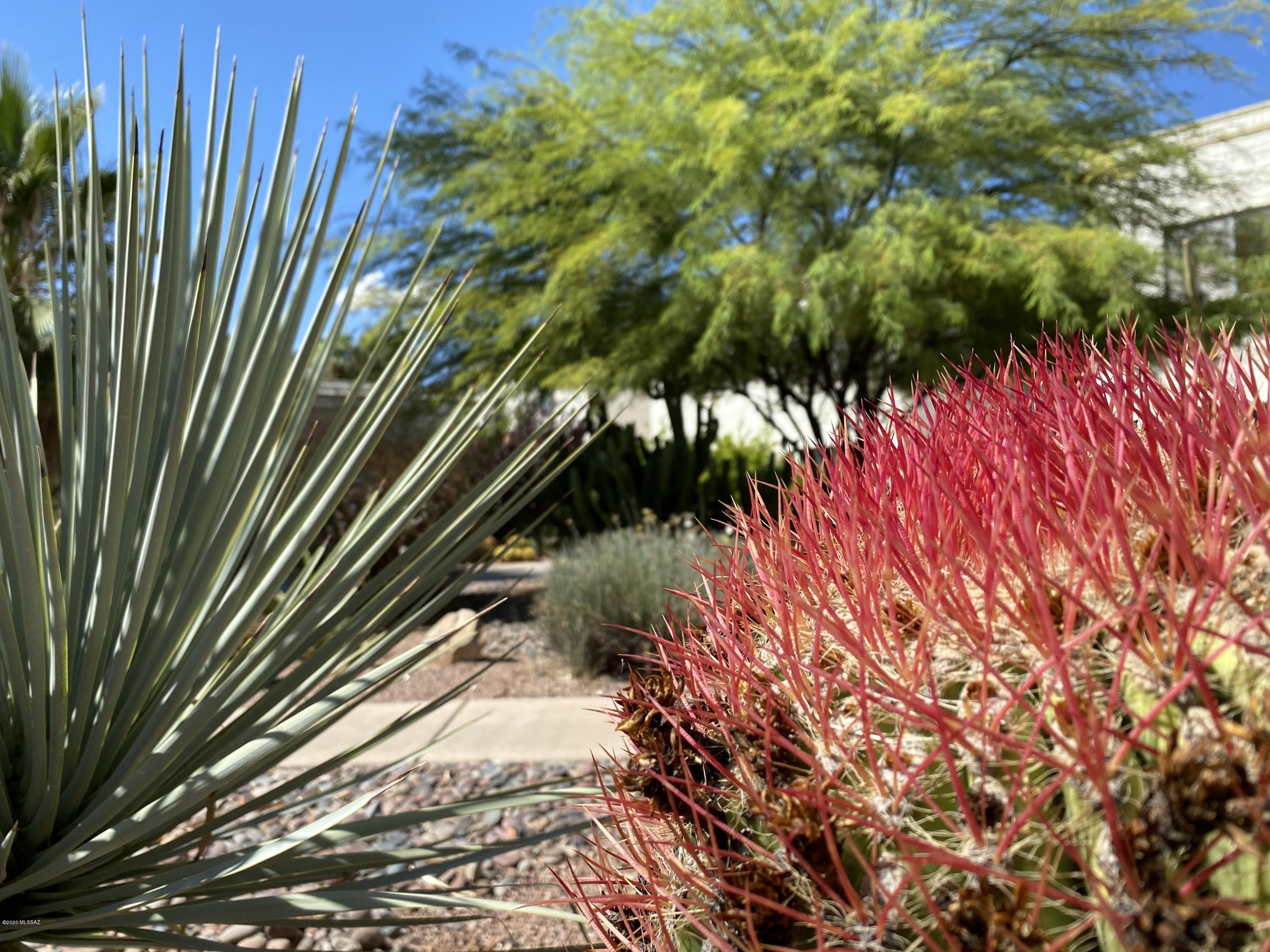 Spanish Trail Condominiums - Residential