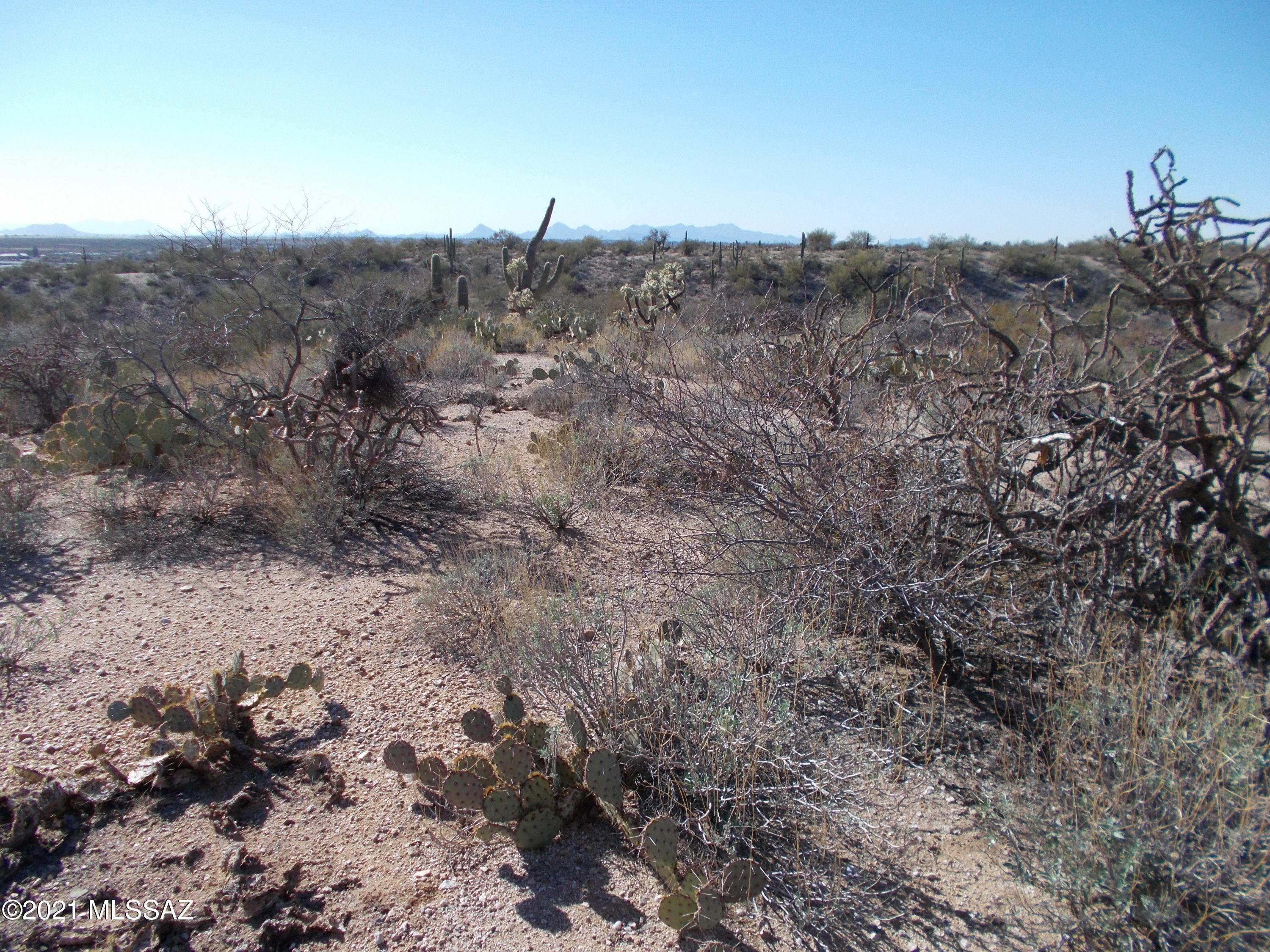 NEW LOT SPLIT. 6.5 ACRES in highly sought after EASTSIDE of Tucson. WONDERFUL LOCATION at the entrance to Rancho Cancion. FABULOUS VIEWS from this HIGH, Beautifully vegetated,  site by SAGUARO NATIONAL PARK EAST. Multiple building locations on FLAT, HIGH RIDGETOP,  all with SUNSET views of the Tucson Mountains and SUNRISE views over the RINCONS. NO HOA or CC&R'S allow for great flexibility. Horses not allowed. Joint driveway agreement with neighboring parcel will be provided by Seller. No further splitting per City of Tucson. View Documents for maps, Survey, Topography, HDZ calculations, etc. Tucson Water, gas, electric, phone and cable to serve parcel. 2 adjacent parcels also available for the 1st time. All AFFORDABLY PRICED at $199,000 each.
