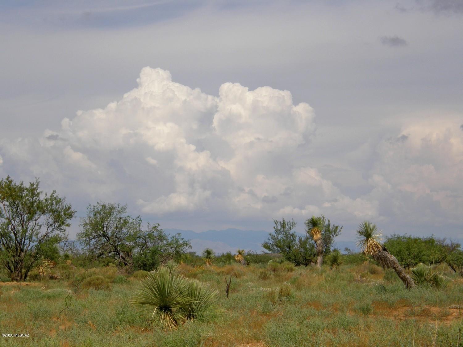 Chiracahua Trail Ranches - Land