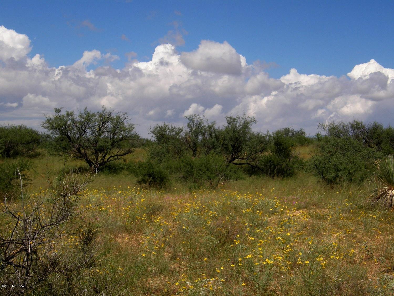 Beautiful 40 acre lot with incredible mountain views of the Dos Cabazos mountains. Great views of the surrounding mountains and the Sulphur Springs Valley. Power at the S/E corner of the lot. If your looking for a lifestyle of privacy and tranquility this is it. Come and enjoy spectacular sunsets, dark starry nights and a mild year around climate. Near several vineyards with sandy loam soil in the area so it might be a good location for a vineyard. Fairly close to Wilcox where you have shopping, dining and medical.