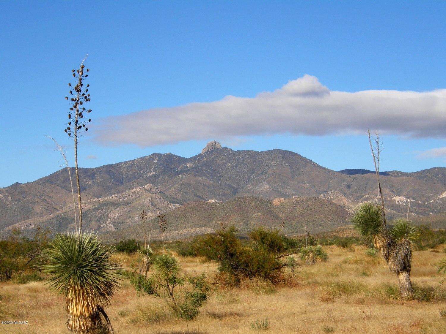 Chiracahua Trail Ranches - Land