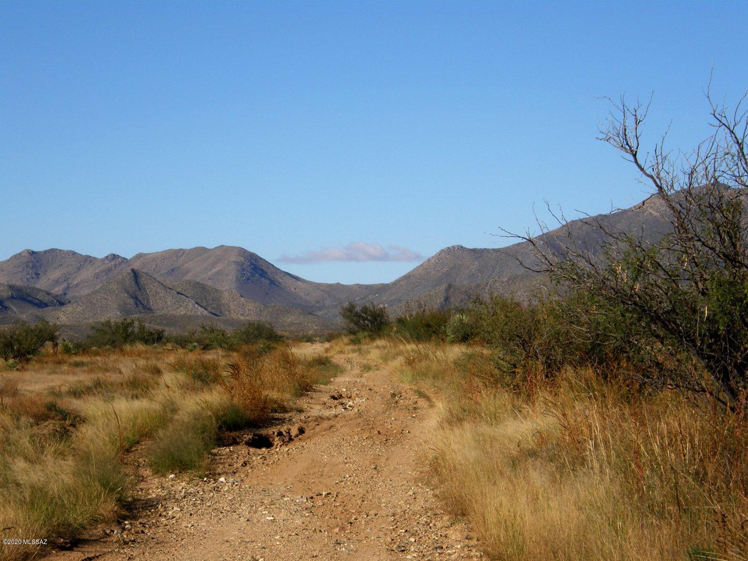 Chiracahua Trail Ranches - Land