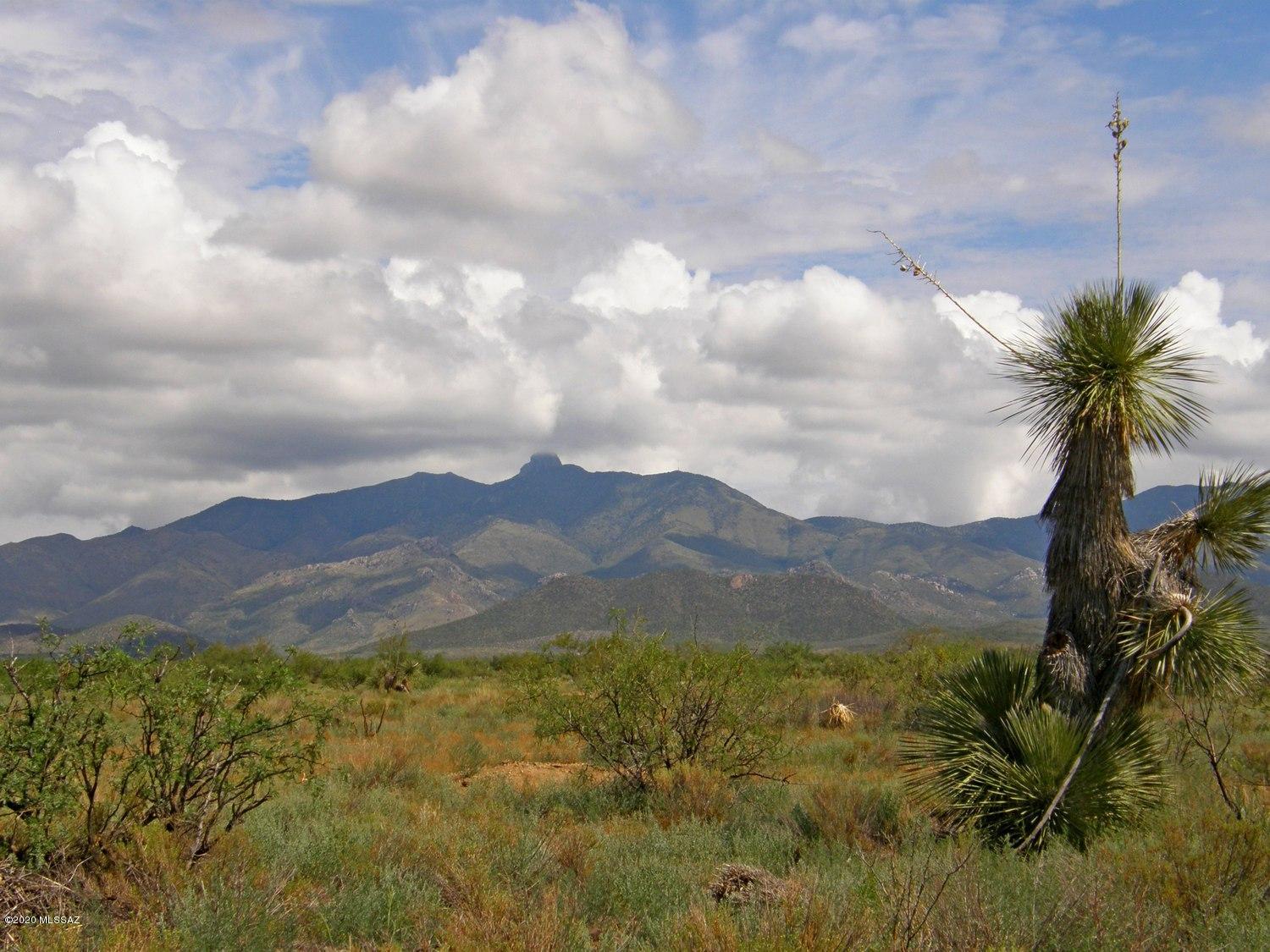 Chiracahua Trail Ranches - Land