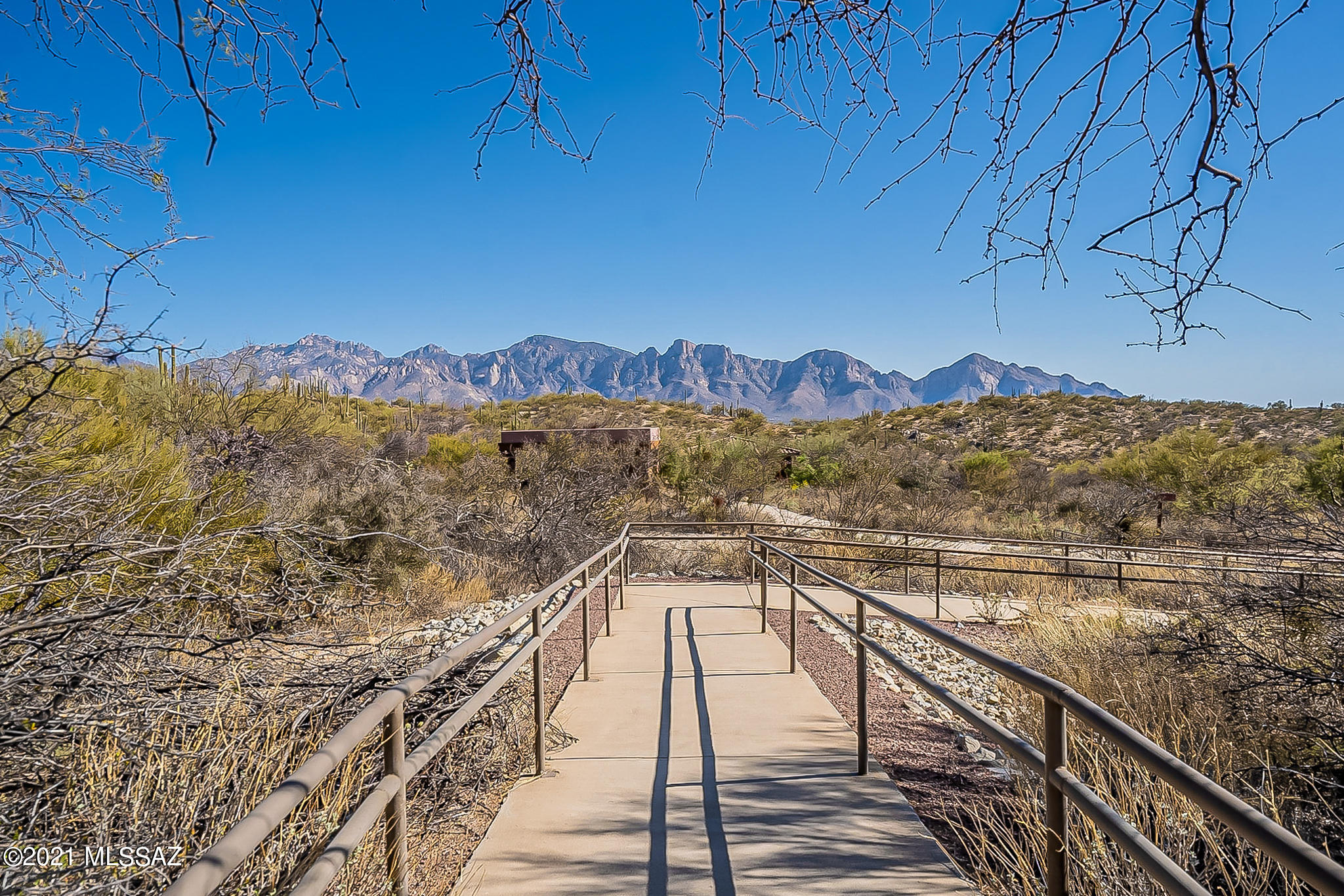 Honey Bee Ridge(The Estates At) - Land