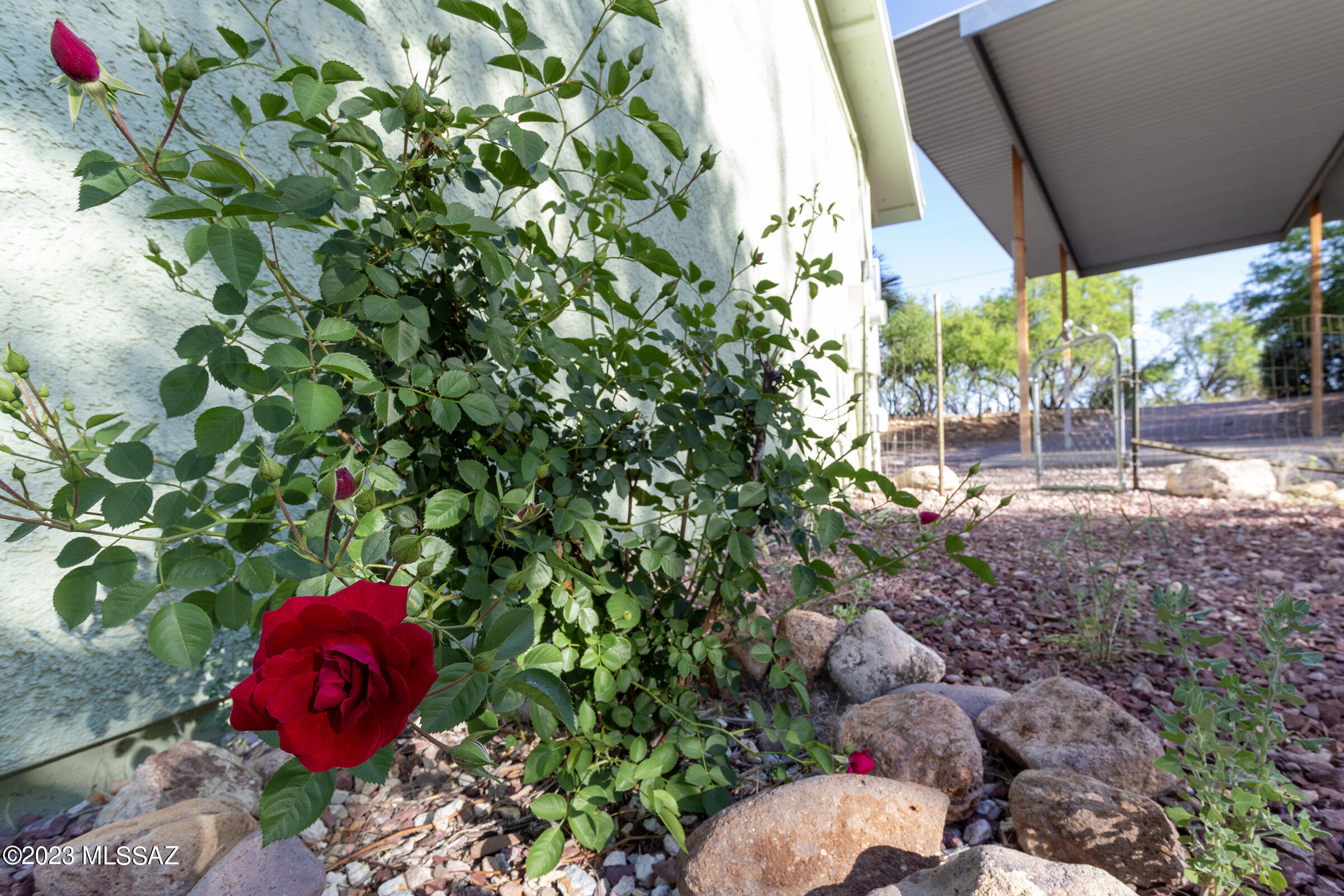 Rio Rico Ranchettes 10 - Residential Lease