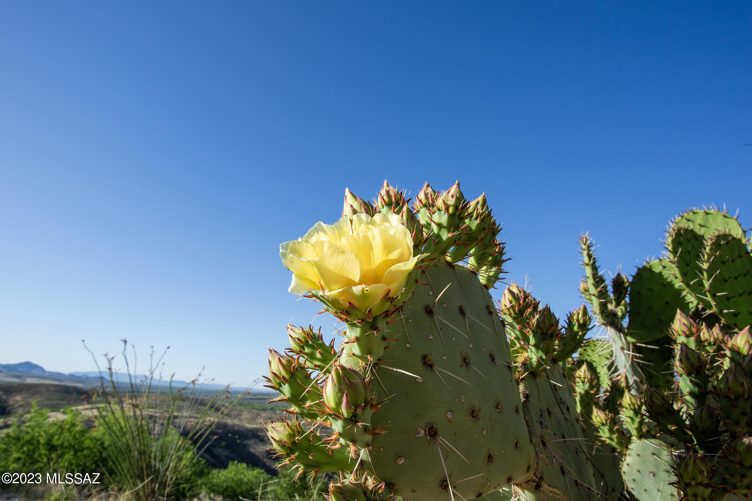 Rio Rico Ranchettes 10 - Residential Lease