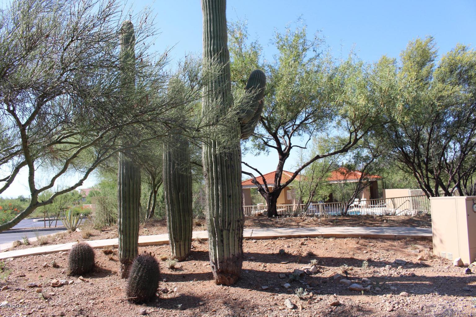 Rancho Agua Dulce (1-306) - Residential