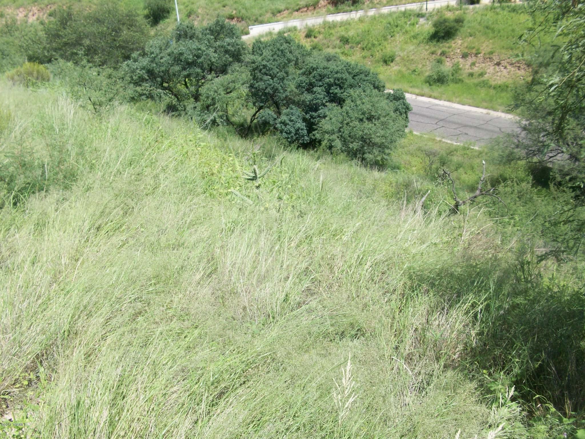 Corner - triangle lot - almost half acre - some highs, some lows - interesting contour with views.  Custom home area of northwest Nogales