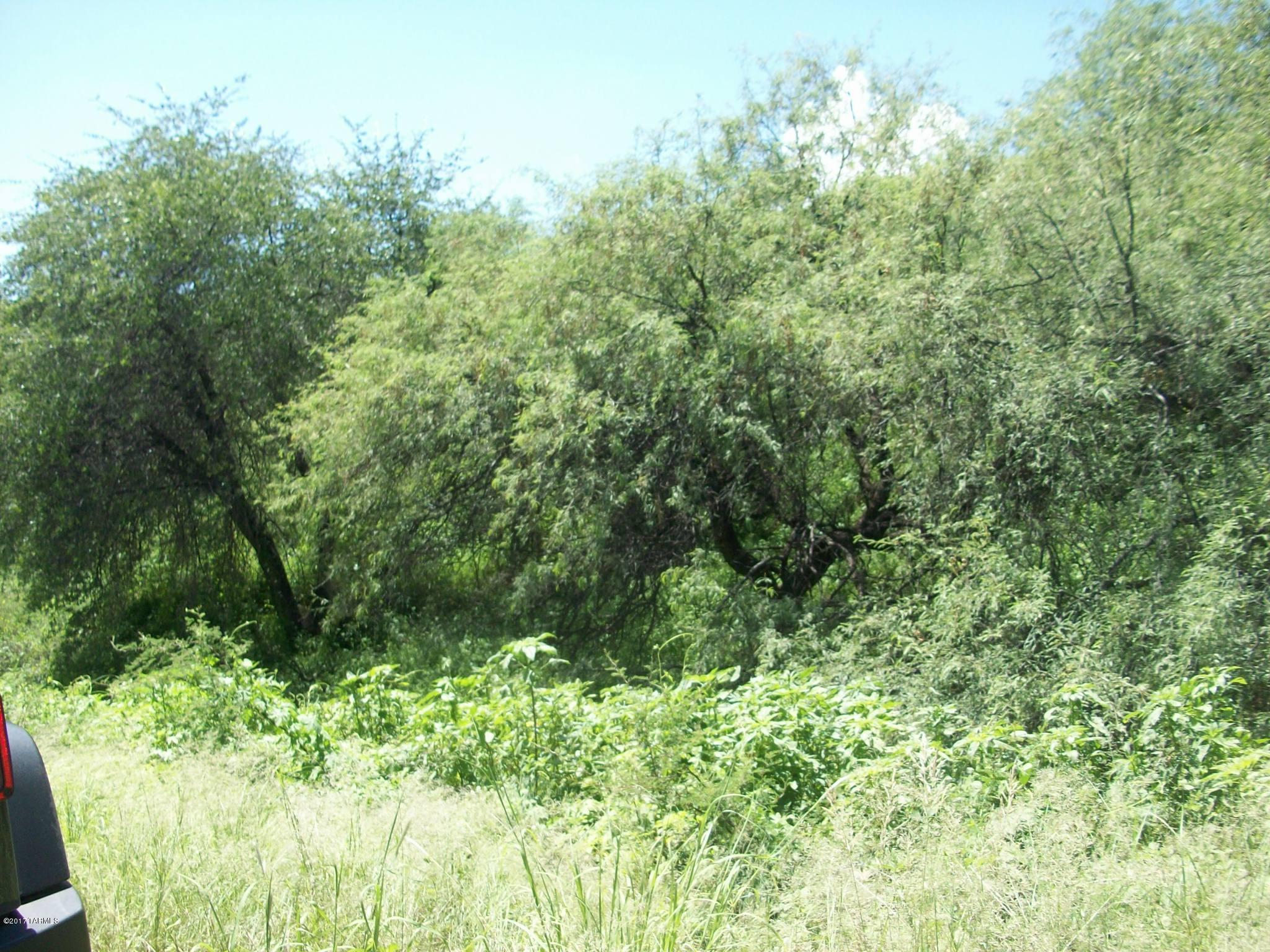 Other/Unknown - Land
