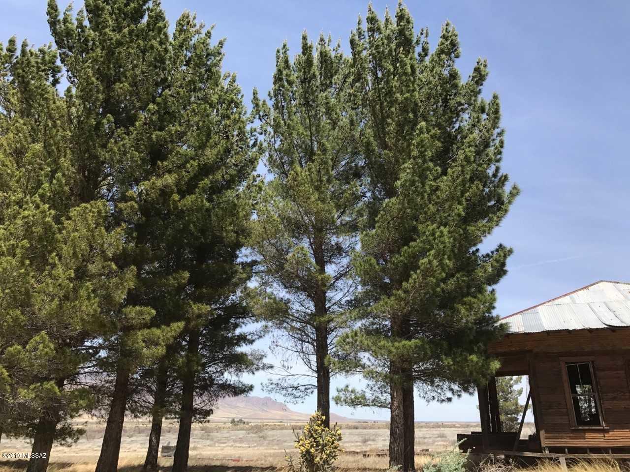 Excellent rural property for several users. Has power and a good well for irrigation and domestic purposes. Fenced and cross fenced. Has a number of pine trees for aesthetics and an old portable building. Easy commute to Rodeo or Douglas for a bigger community.